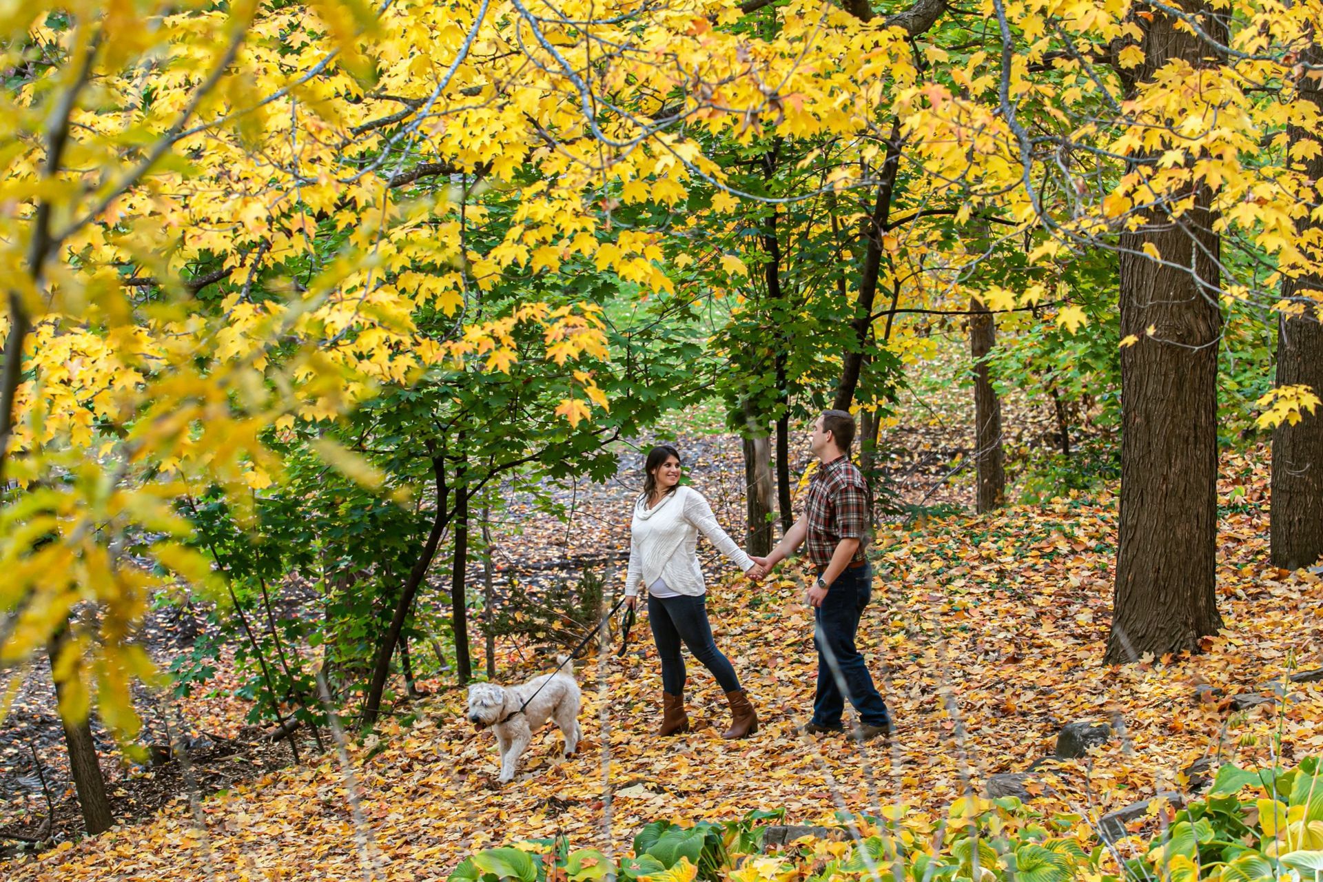 Foto Zachary + Sarah - Ottawa / Canada  - Imagem 9