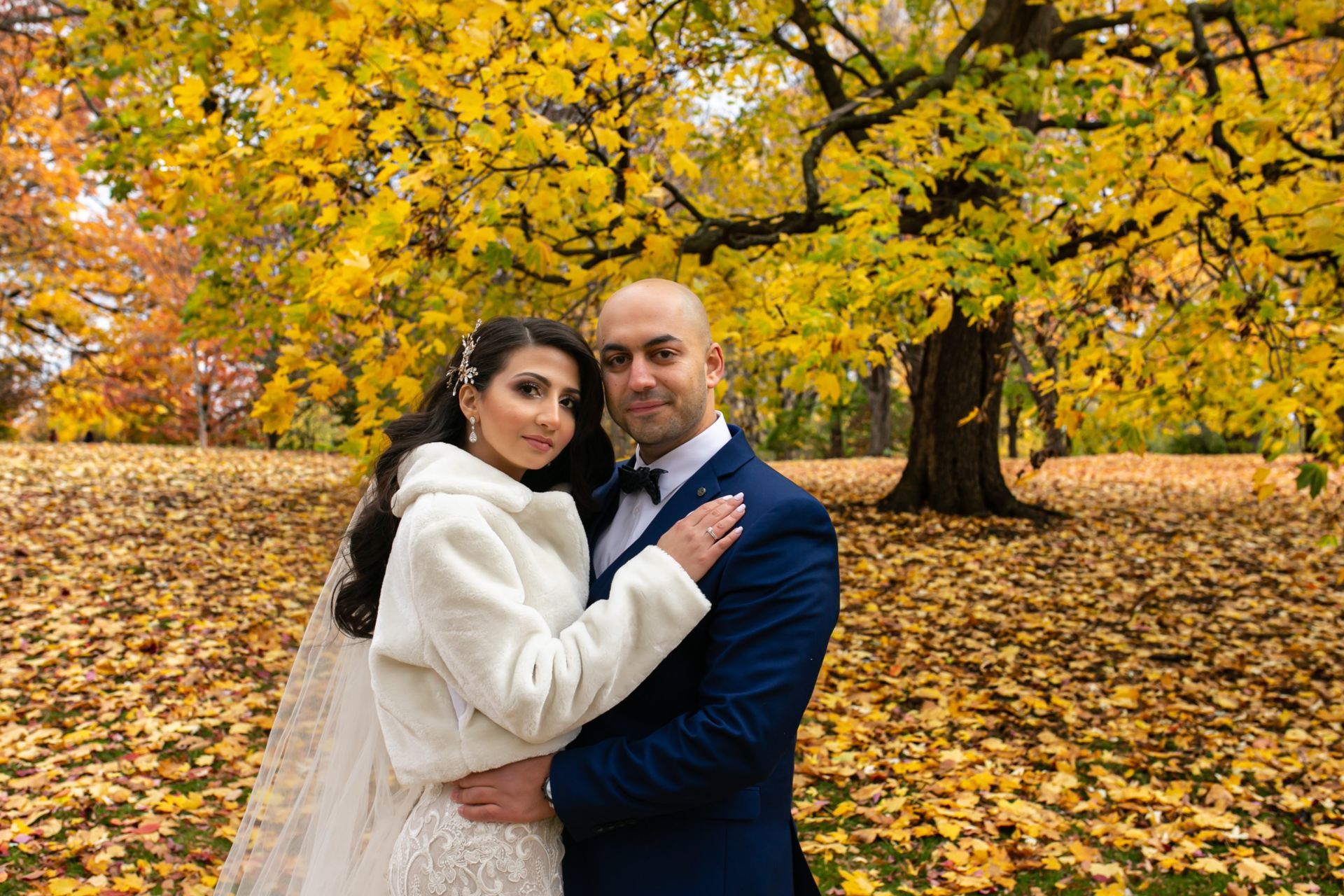 Foto Radwa + Ayman - Parliament Hill Ottawa  - Imagem 34