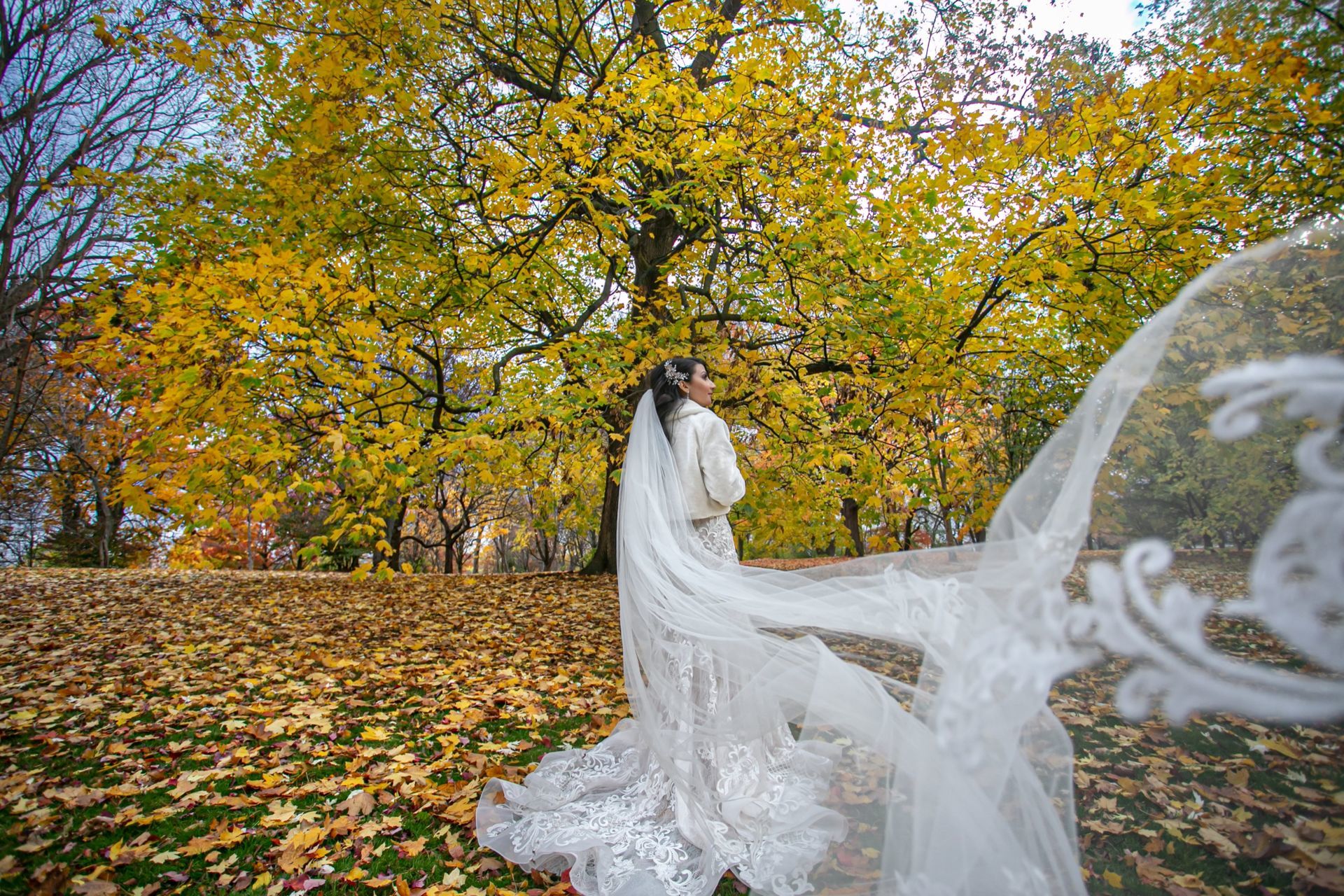 Foto Radwa + Ayman - Parliament Hill Ottawa  - Imagem 35