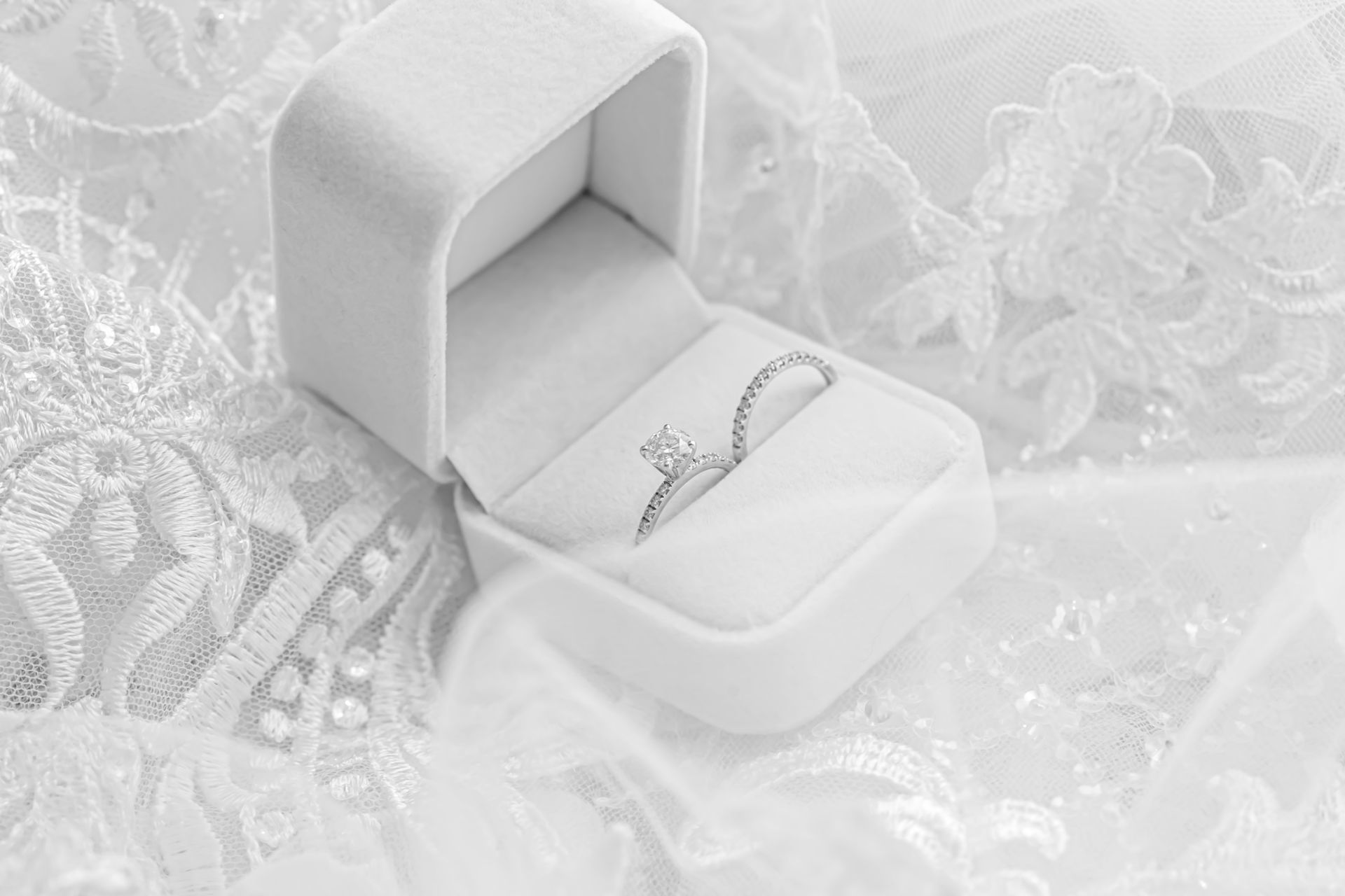 Foto Radwa + Ayman  - Imagem 3