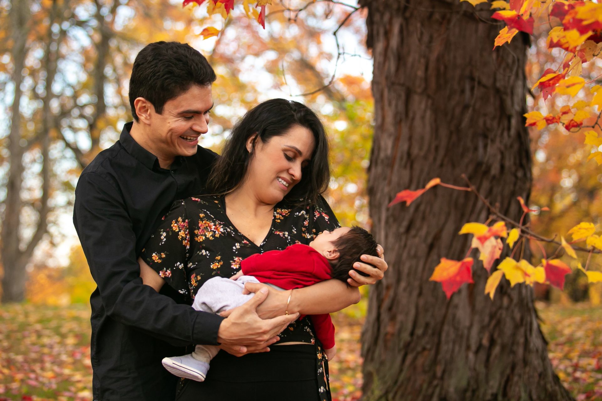 Foto Family Session - Dominion Arboretum - Ottawa Canada  - Imagem 4