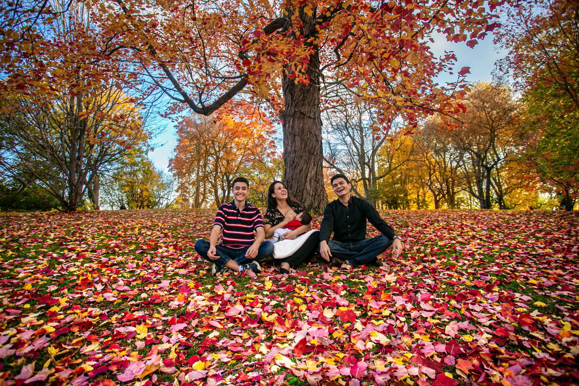 Foto Family Session - Dominion Arboretum - Ottawa Canada  - Imagem 1