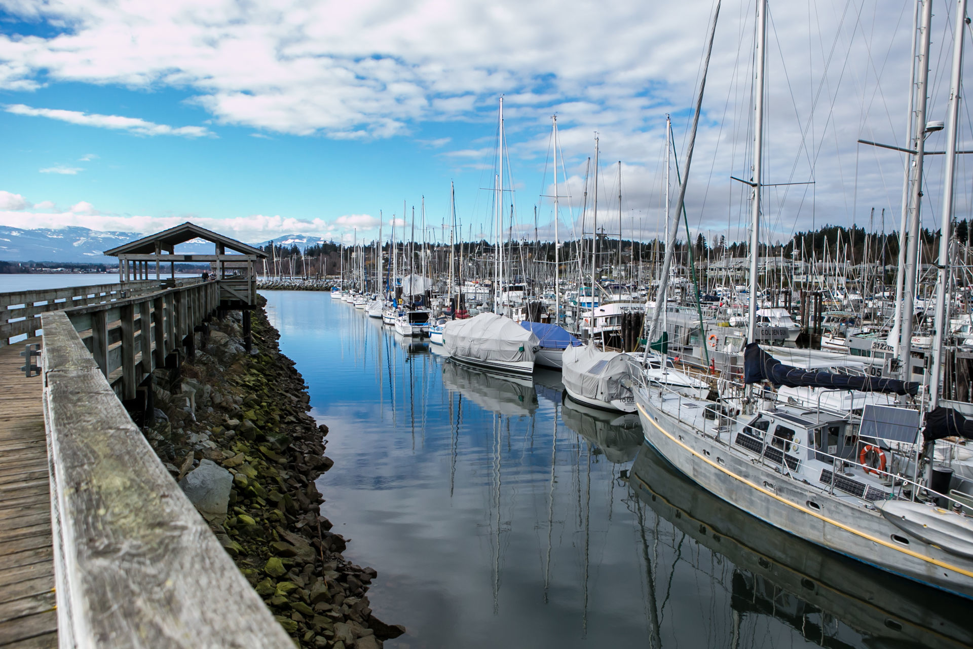 Foto Love - Vancouver / Canada  - Imagem 20