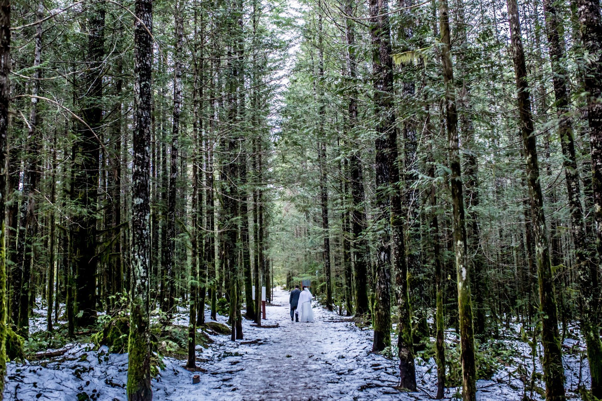 Foto Love - Vancouver / Canada  - Imagem 1
