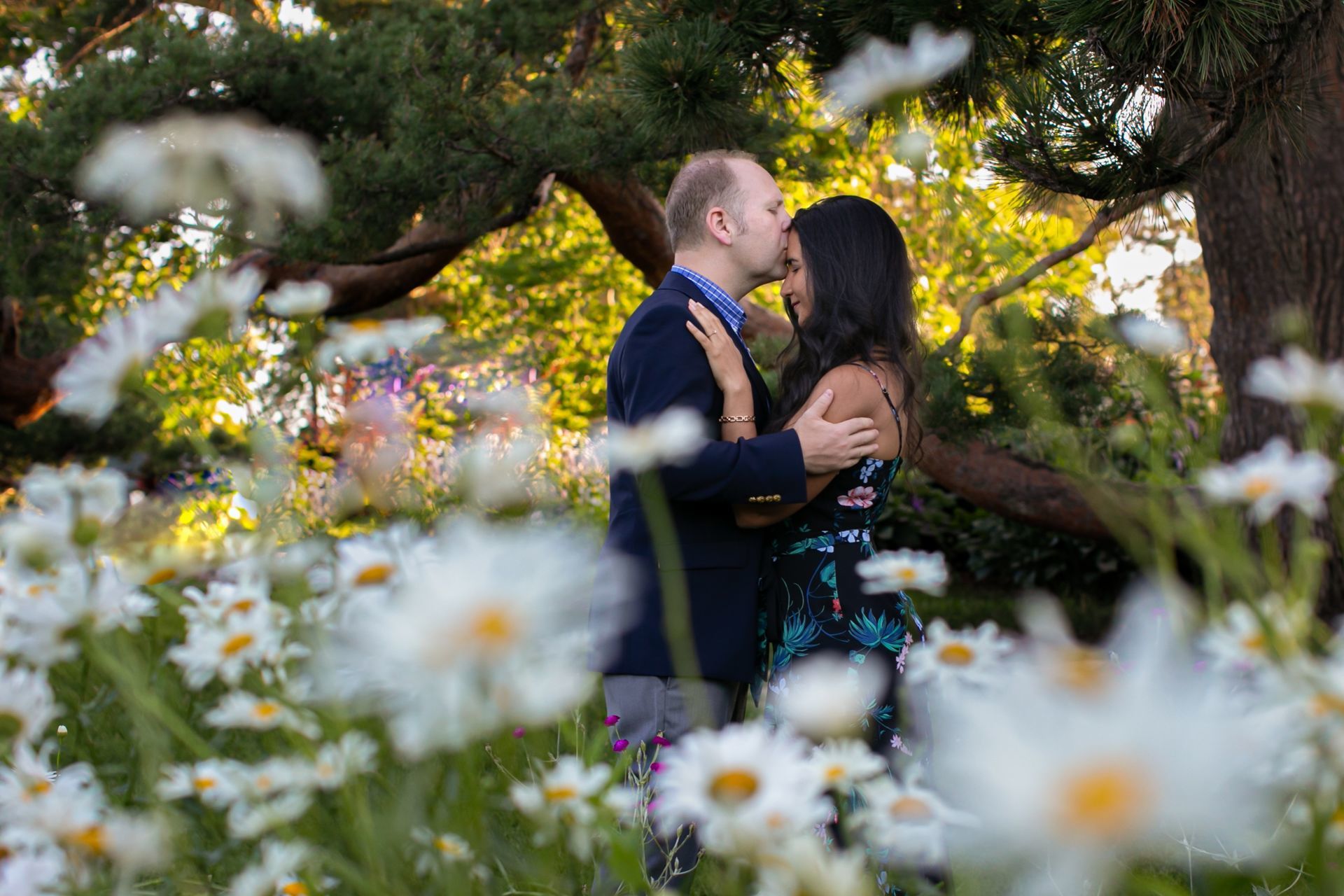 Foto Raquel + Nathan - Ornamental Gardens Ottawa  - Imagem 4