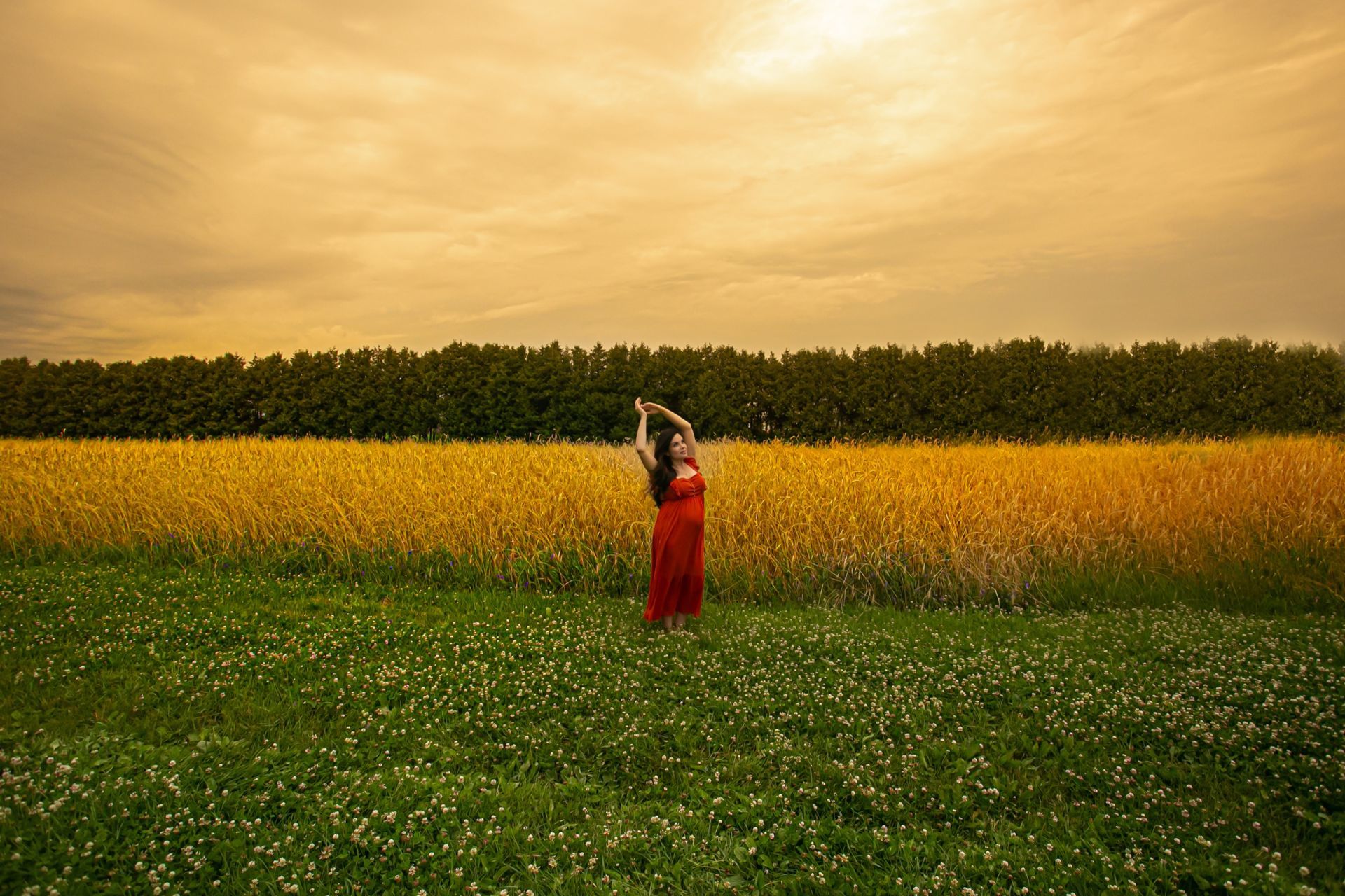 Foto Ana + Vinicius - Canada  - Imagem 4