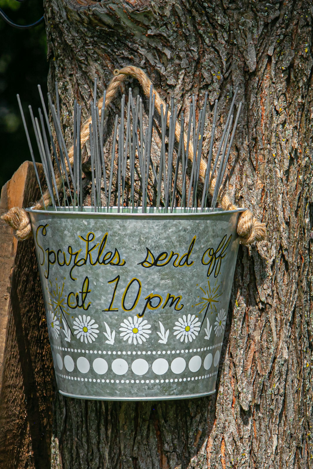 Foto Cassie + Abe - Quebec  - Imagem 15