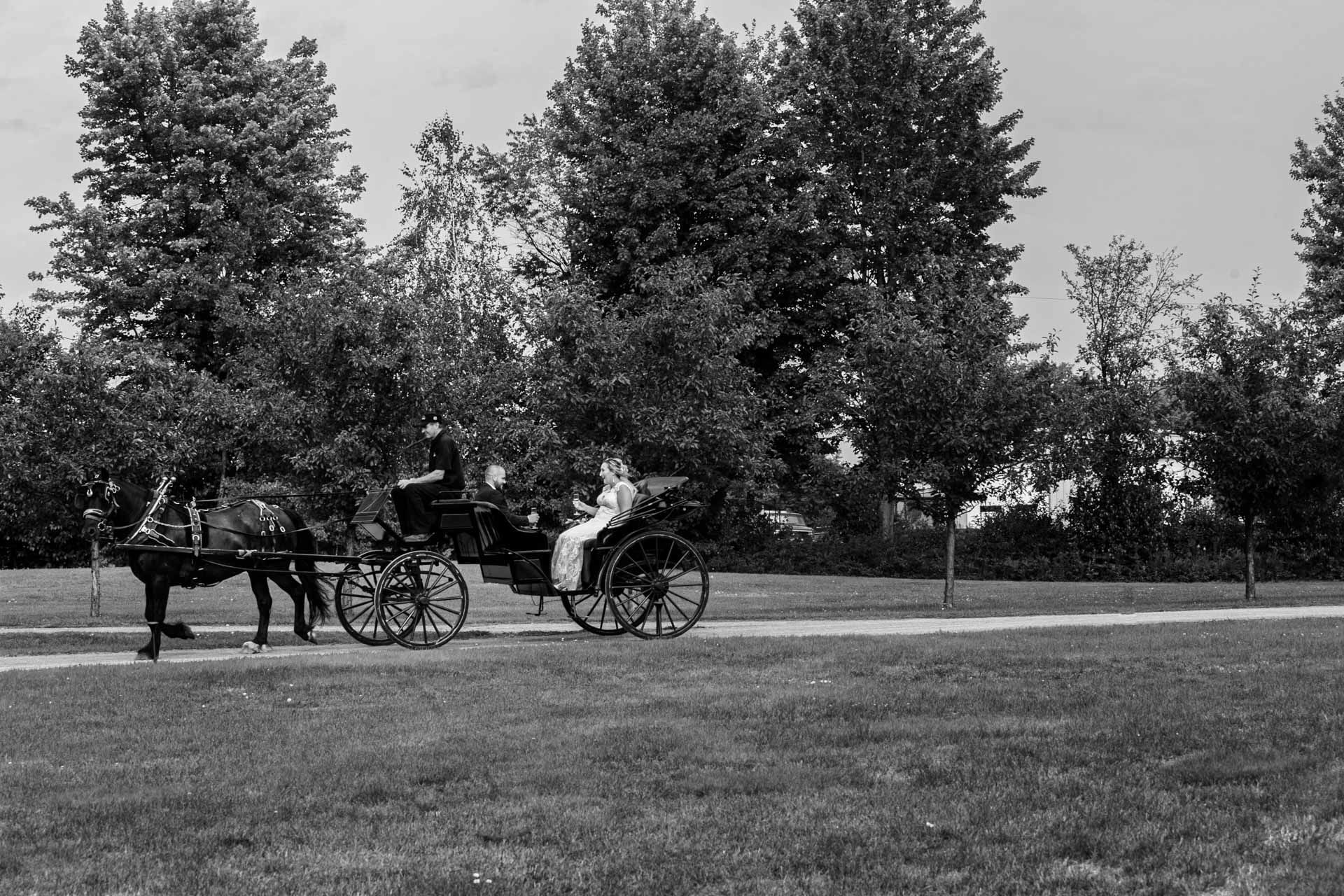 Foto Ashleigh & Grant - Bean  - Imagem 56