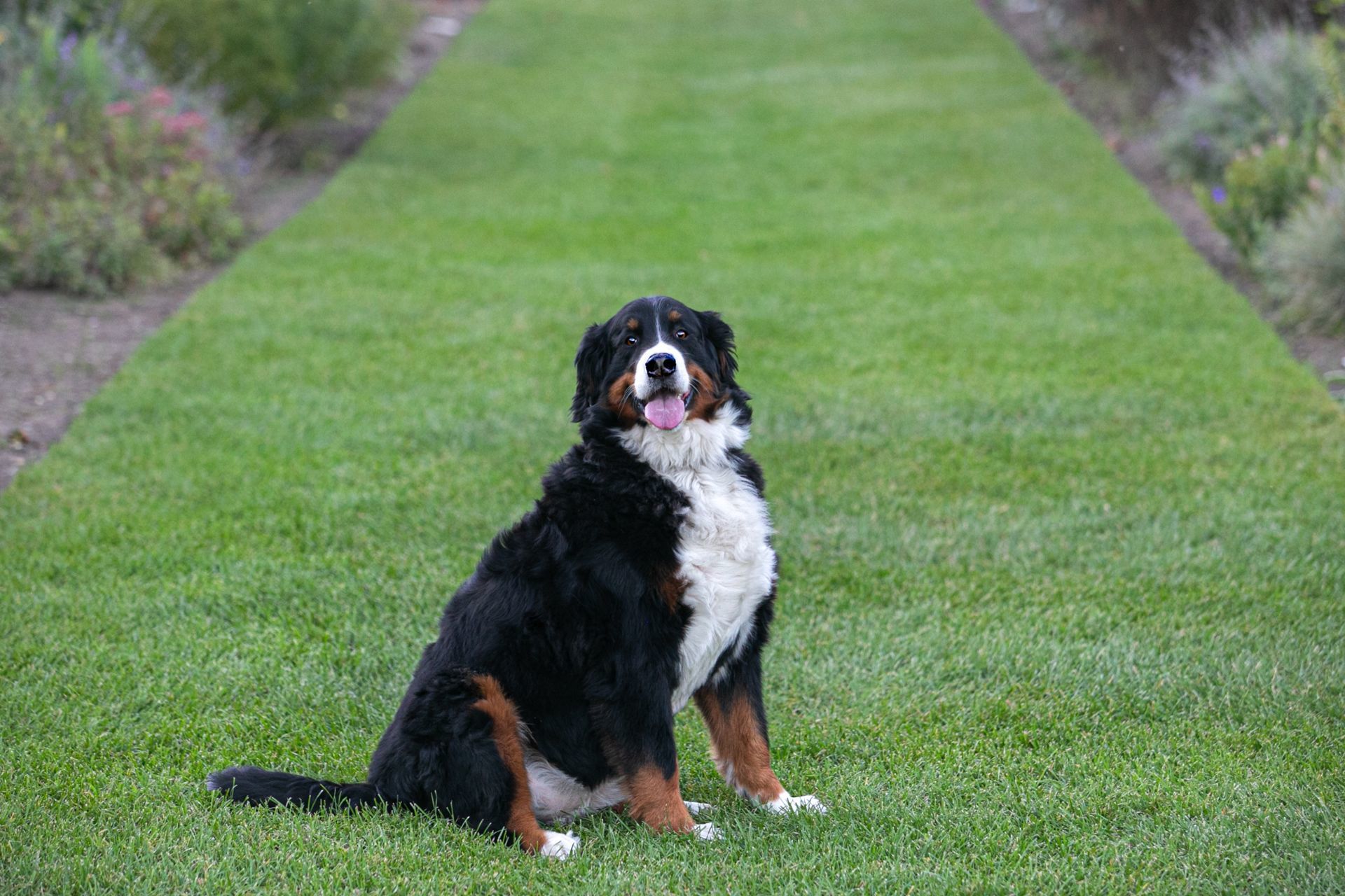 Foto Bruna & Adriano - Arboretum Ottawa  - Imagem 9