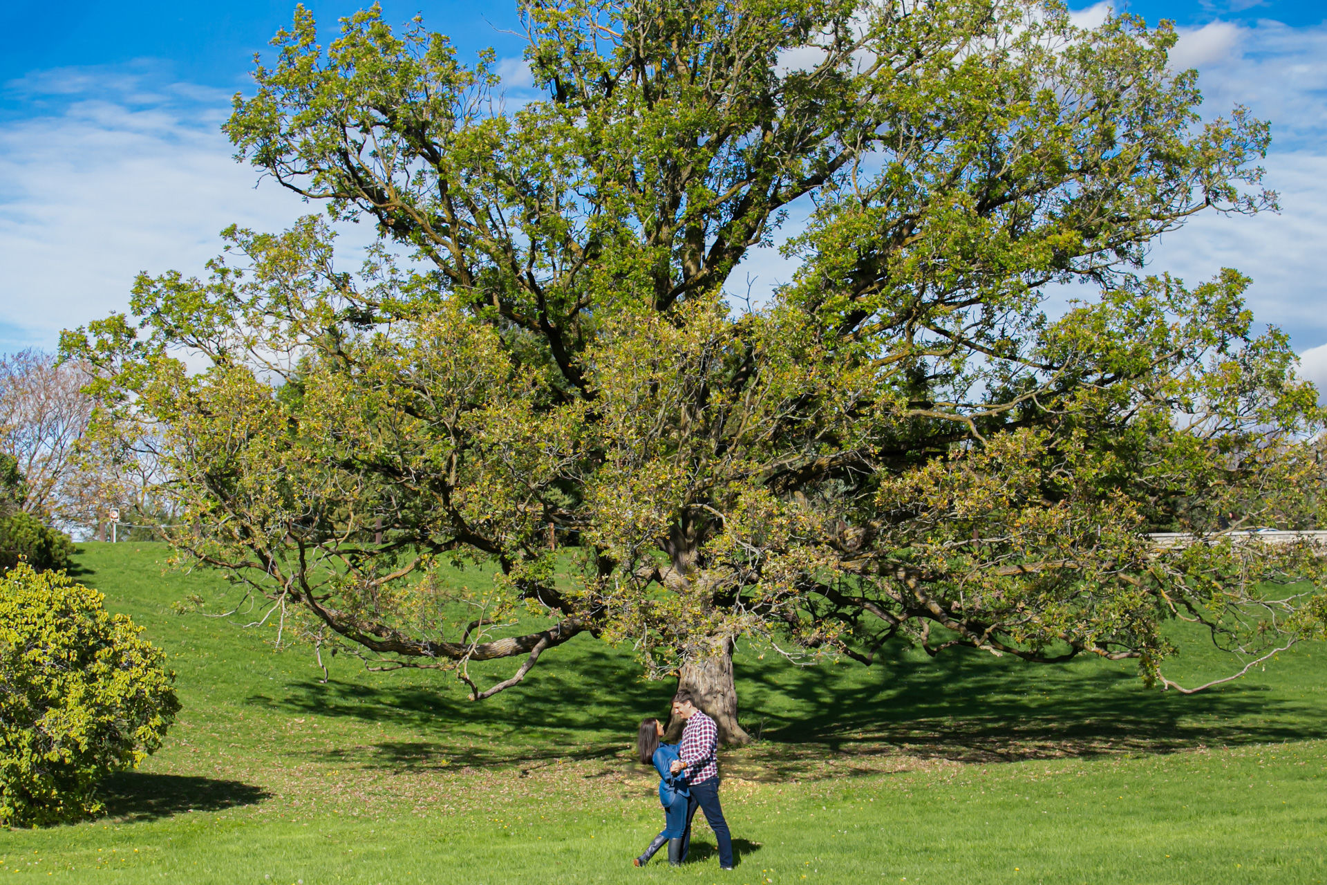 Foto Lari&Ro&Bê&Lili - Dominion Arboretum  - Imagem 14