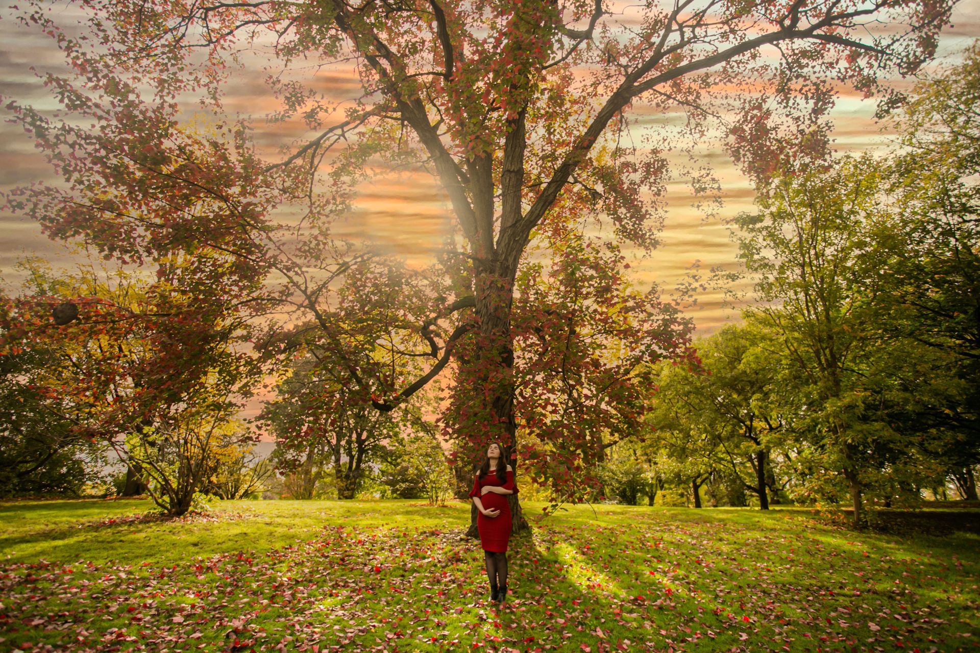 Foto Fall Session - Dominion Arboretum  - Imagem 7