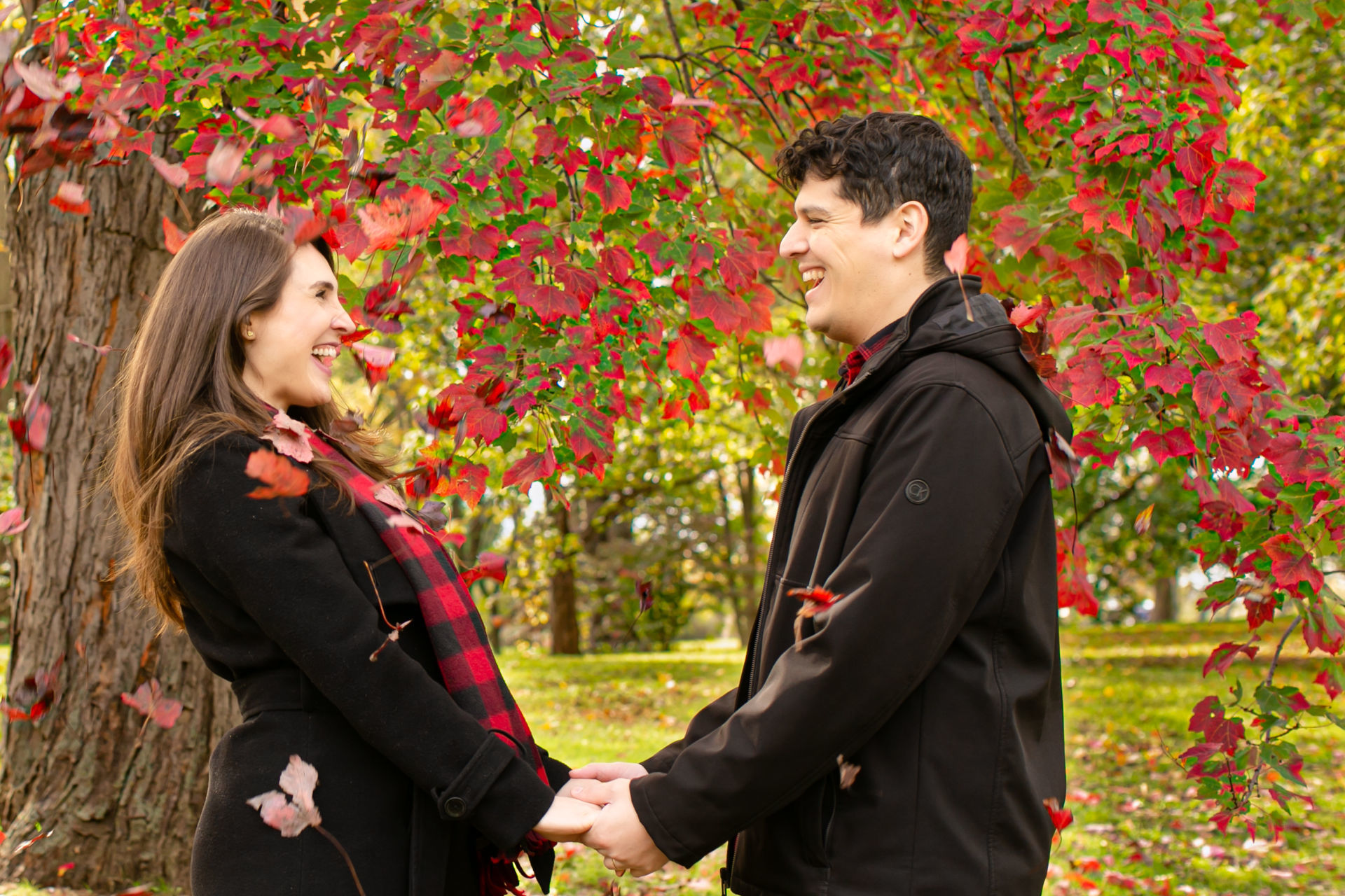 Foto Fall Session - Dominion Arboretum  - Imagem 4