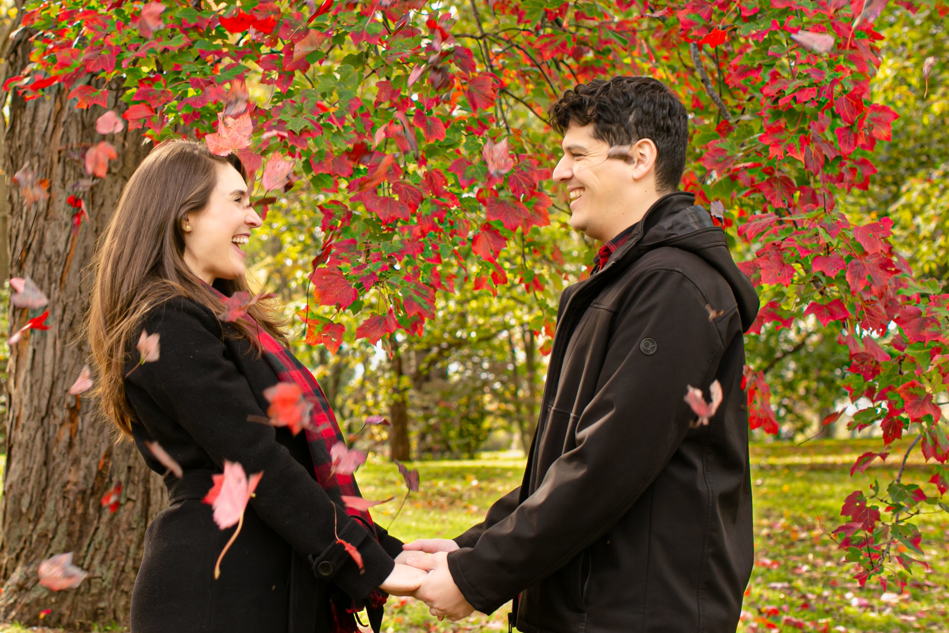 Foto Fall Session - Dominion Arboretum  - Imagem 3