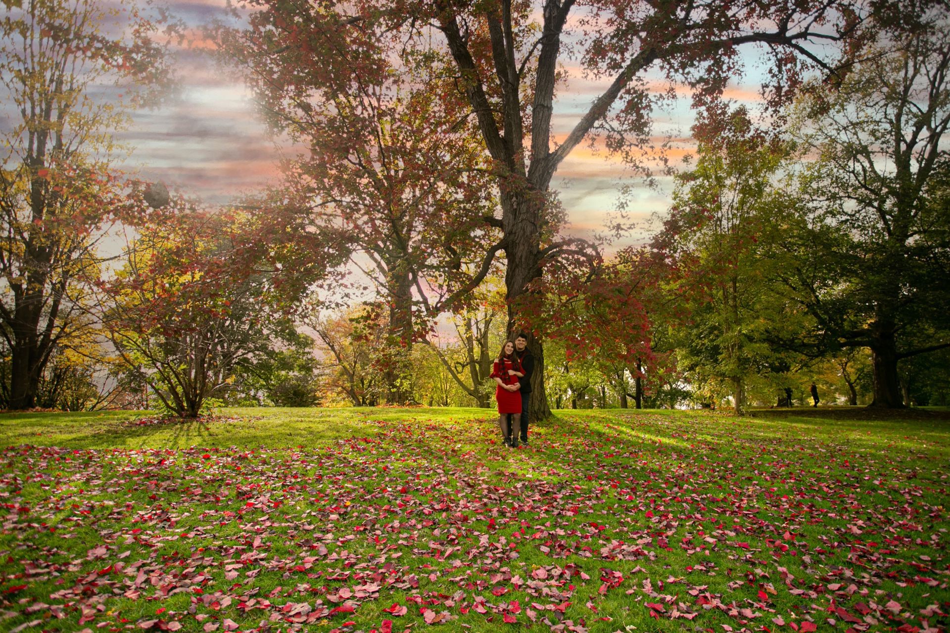Foto Fall Session - Dominion Arboretum  - Imagem 11
