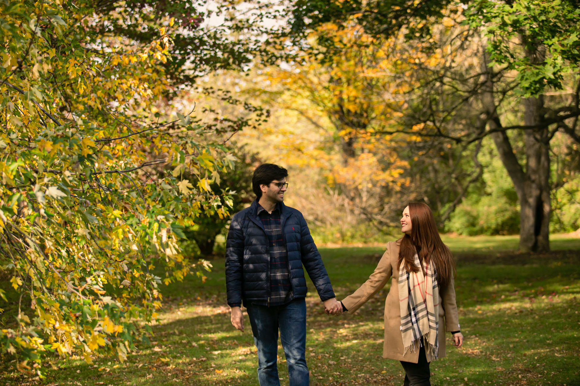 Foto Fall Session - Dominion Arboretum  - Imagem 3
