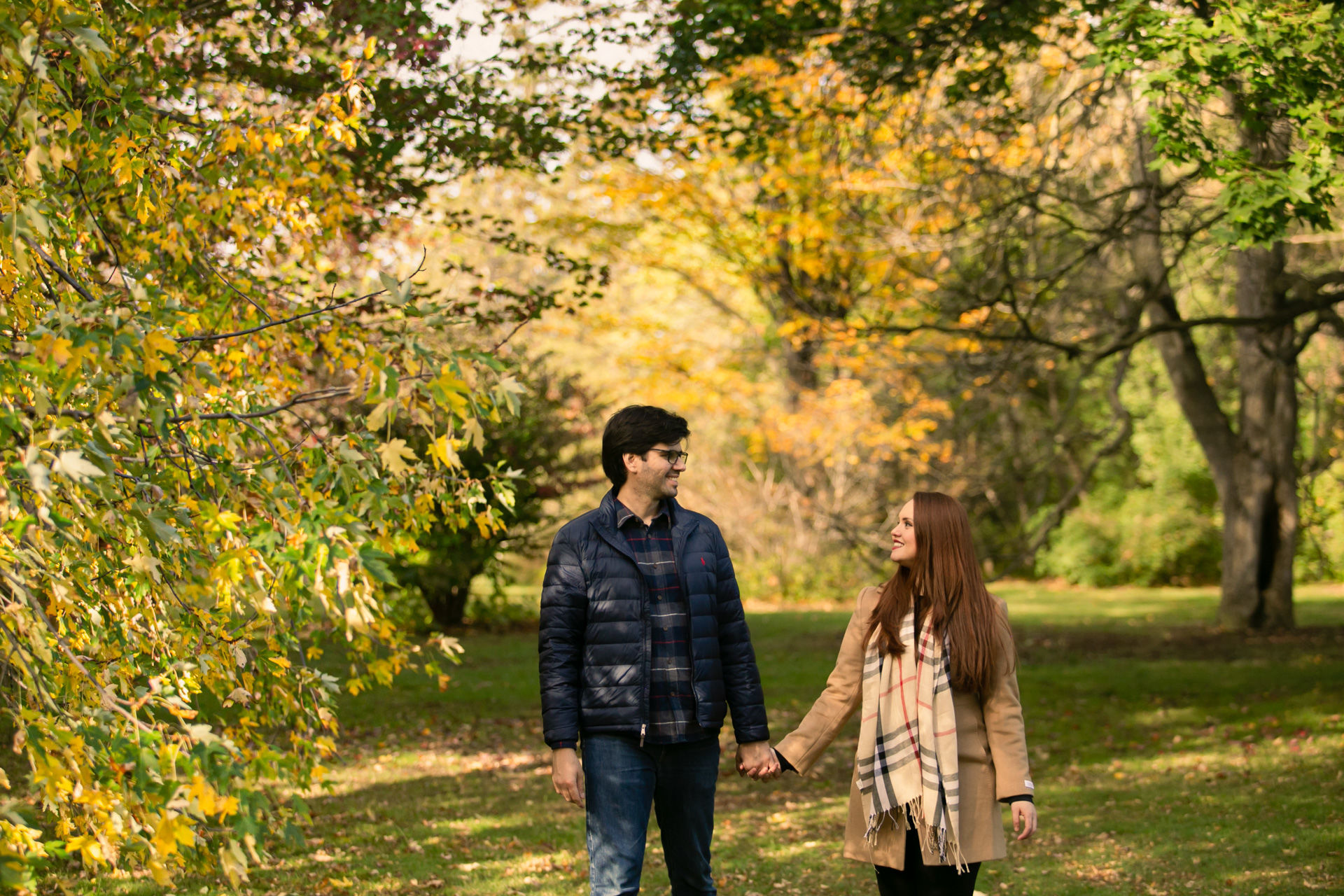 Foto Fall Session - Dominion Arboretum  - Imagem 2