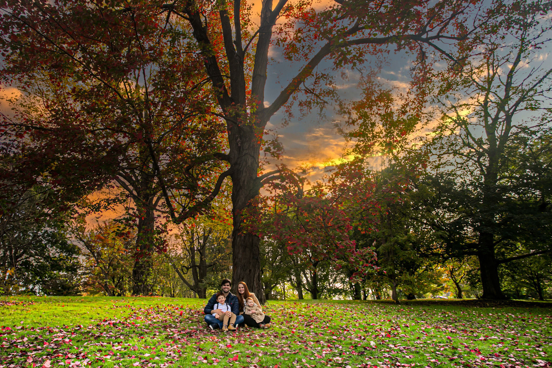 Foto Fall Session - Dominion Arboretum  - Imagem 5