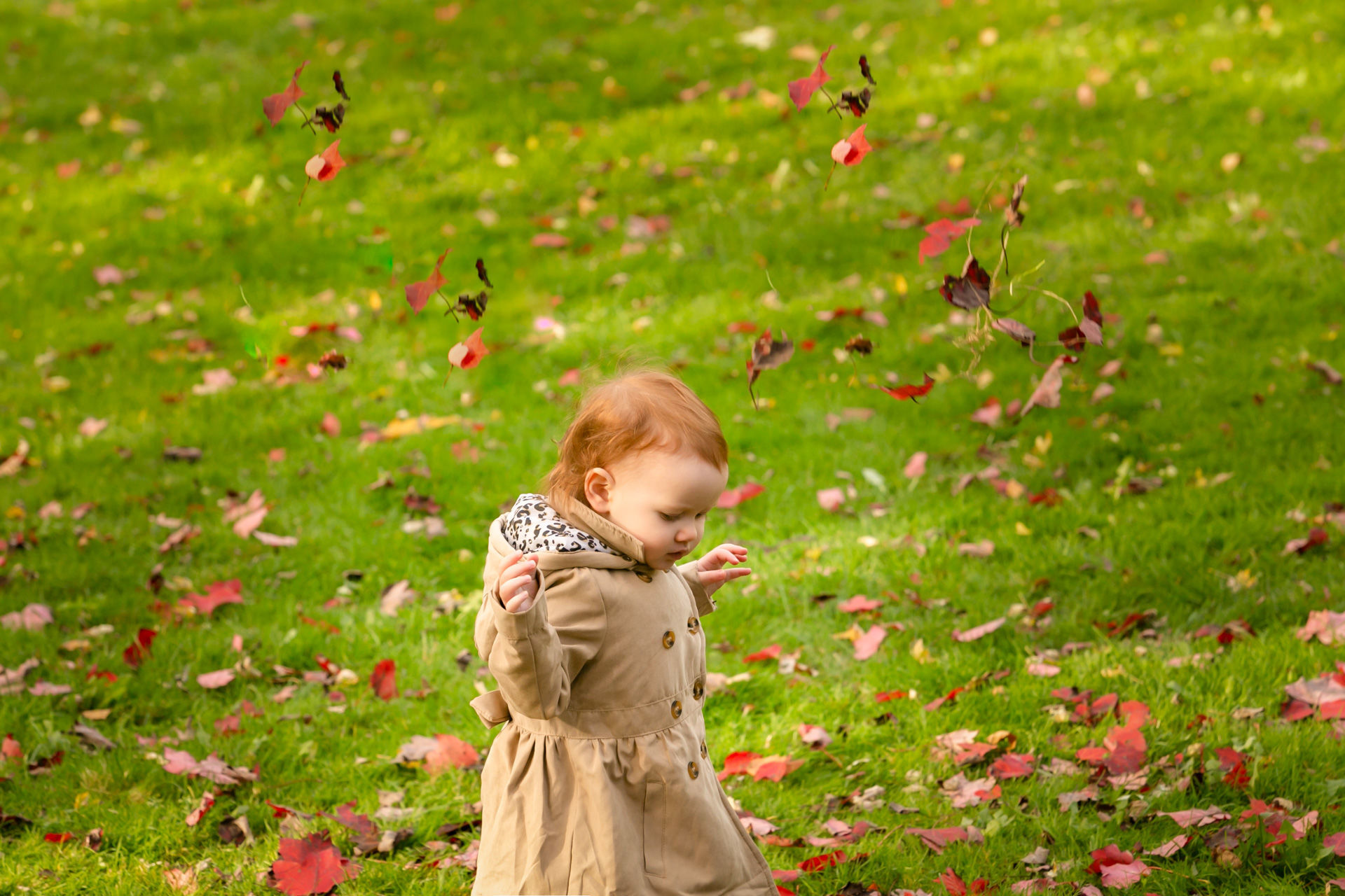 Foto Fall Session - Dominion Arboretum  - Imagem 7
