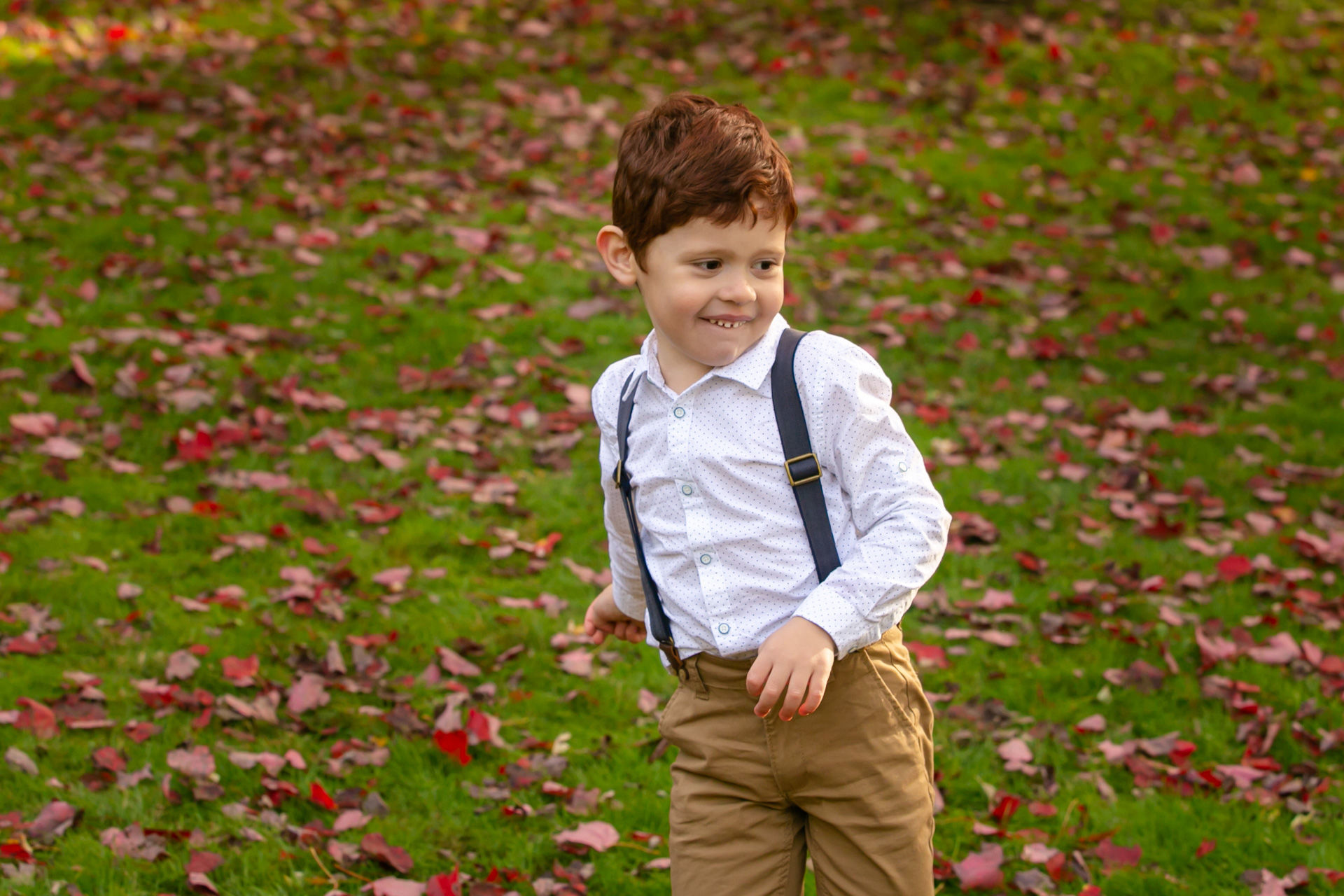 Foto Fall Session - Dominion Arboretum  - Imagem 8