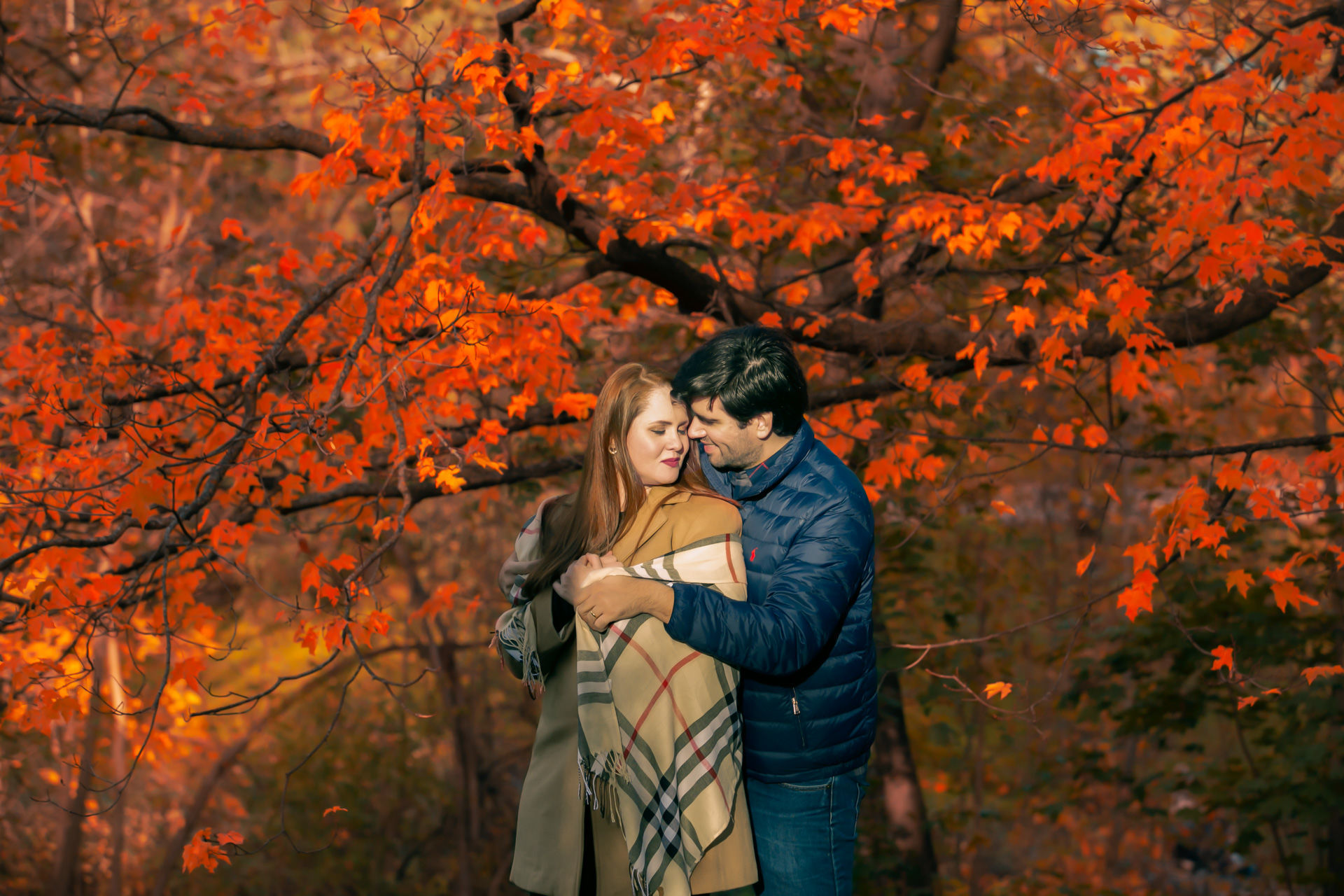 Foto Fall Session - Dominion Arboretum  - Imagem 9