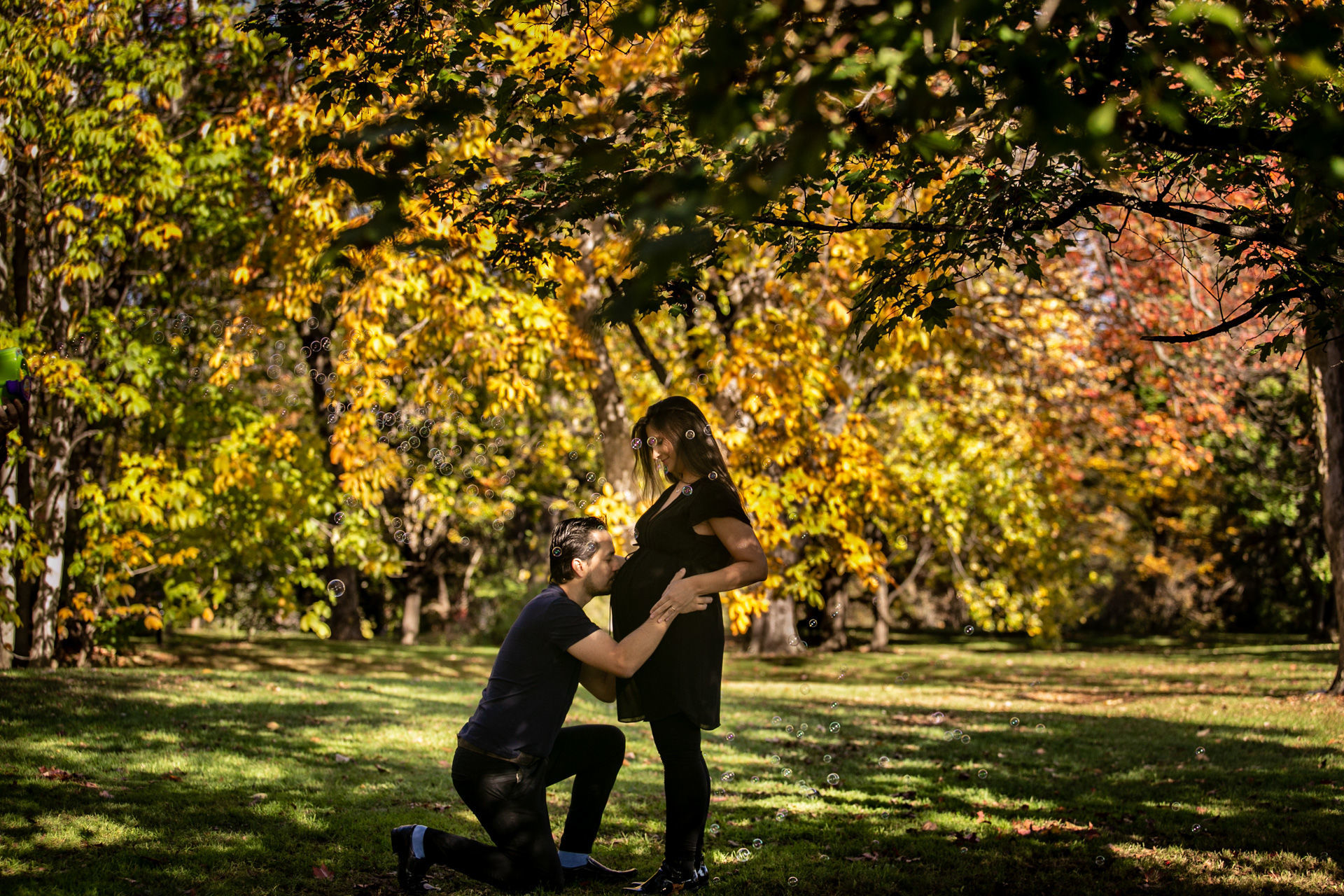Foto Fall Session - Dominion Arboretum  - Imagem 7