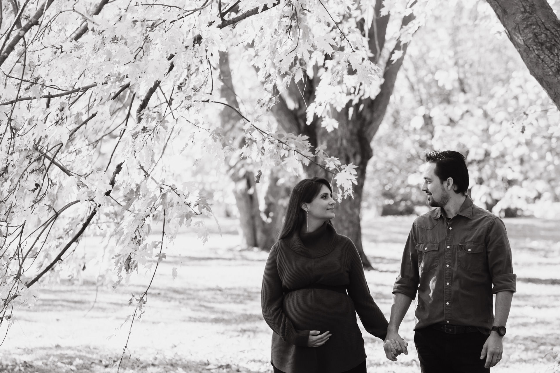 Foto Fall Session - Dominion Arboretum  - Imagem 4