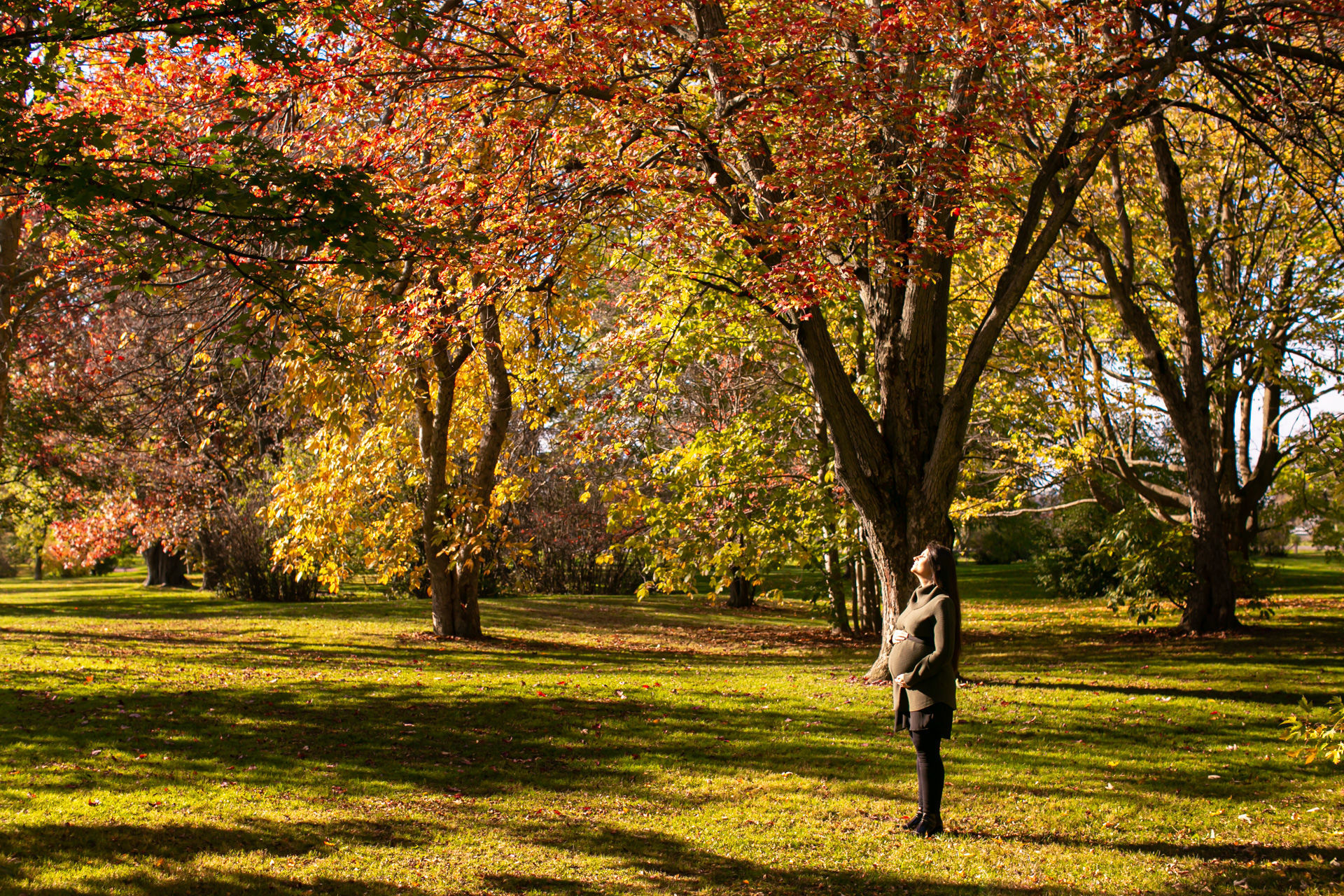 Foto Fall Session - Dominion Arboretum  - Imagem 3
