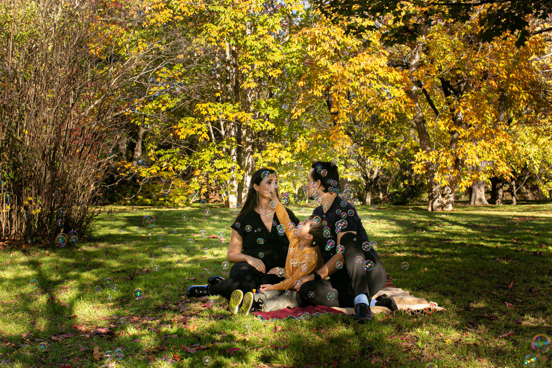 Foto Fall Session - Dominion Arboretum  - Imagem 6