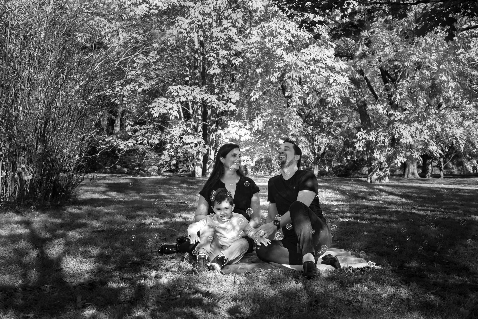 Foto Fall Session - Dominion Arboretum  - Imagem 0