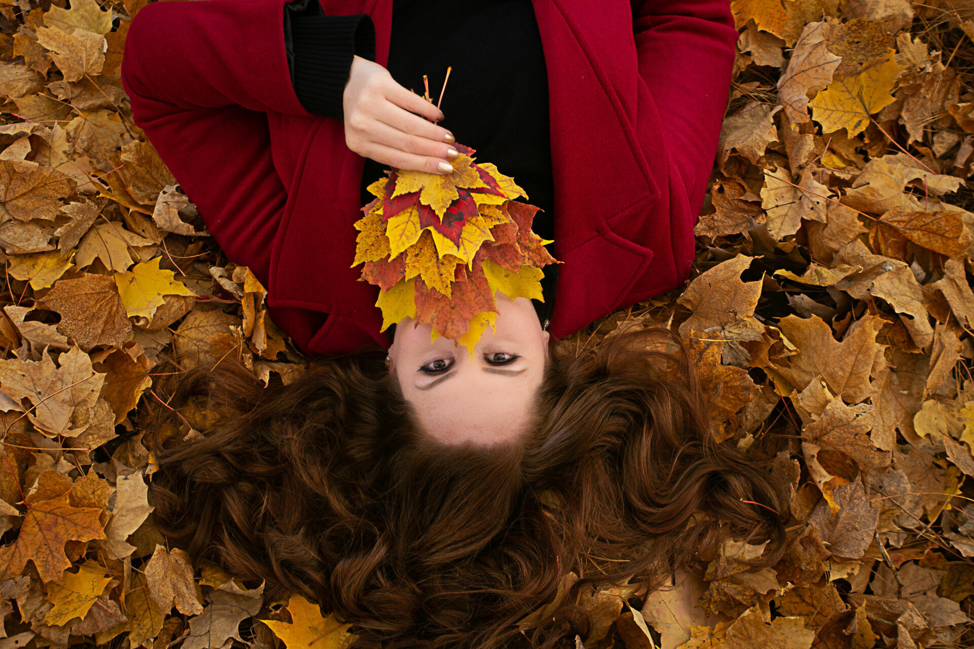 Foto Fall Session - Fernanda & Wander  - Imagem 23