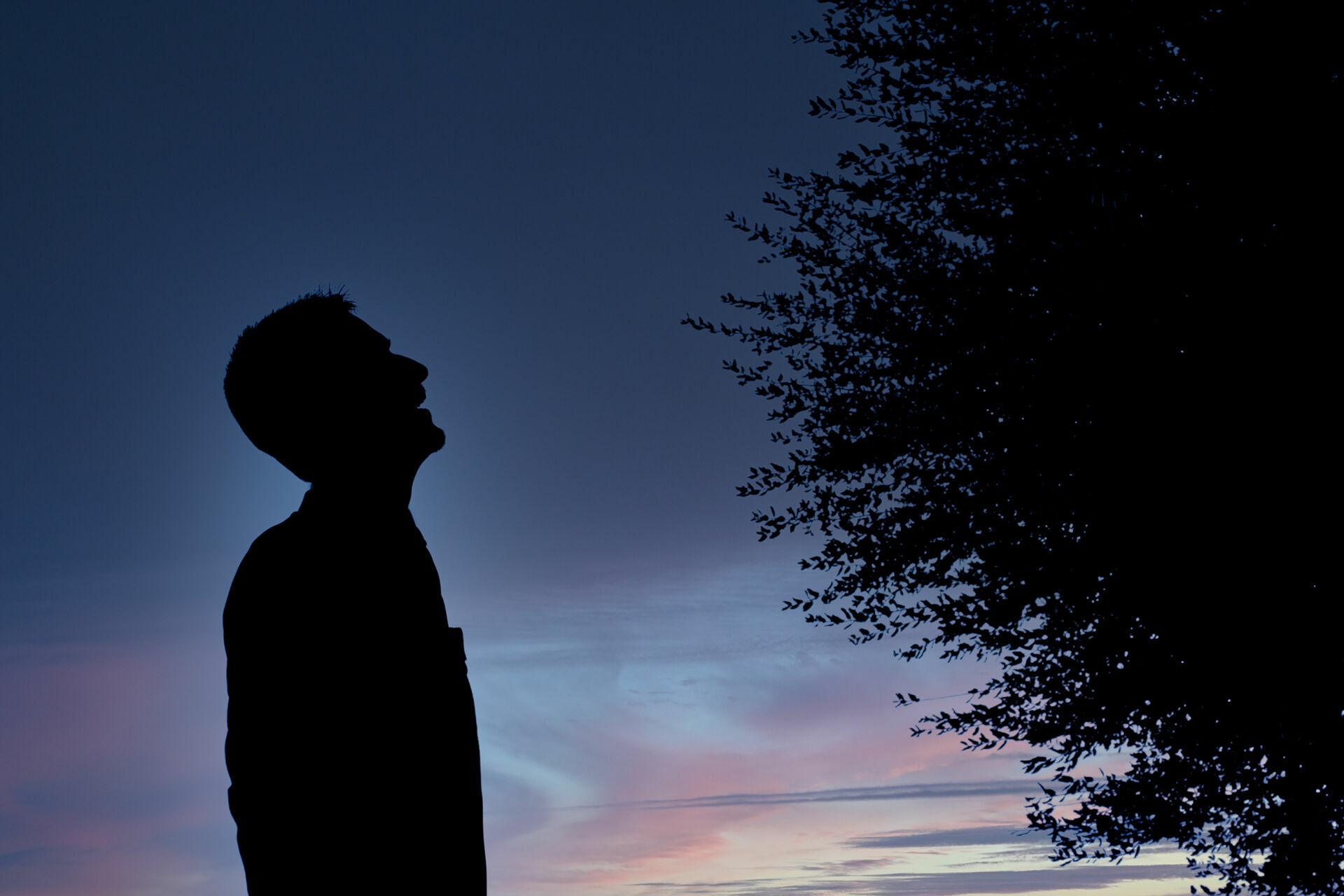 Foto Against the light - Art Collection  - Imagem 3