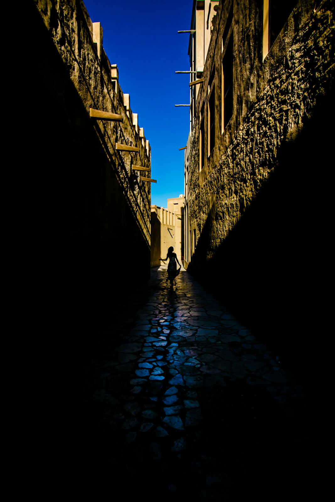 Foto Against the light - Art Collection  - Imagem 7