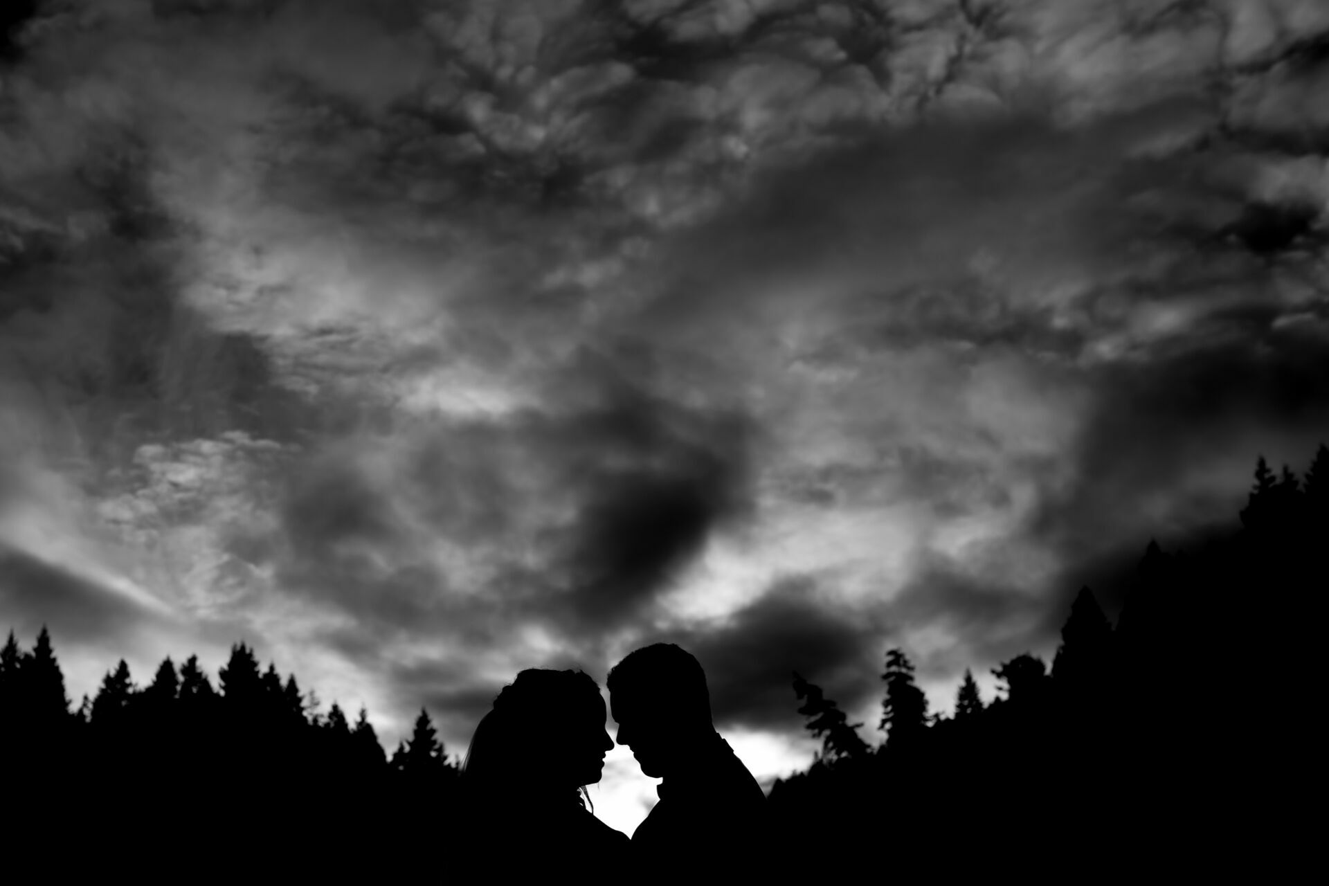 Foto Against the light - Art Collection  - Imagem 1