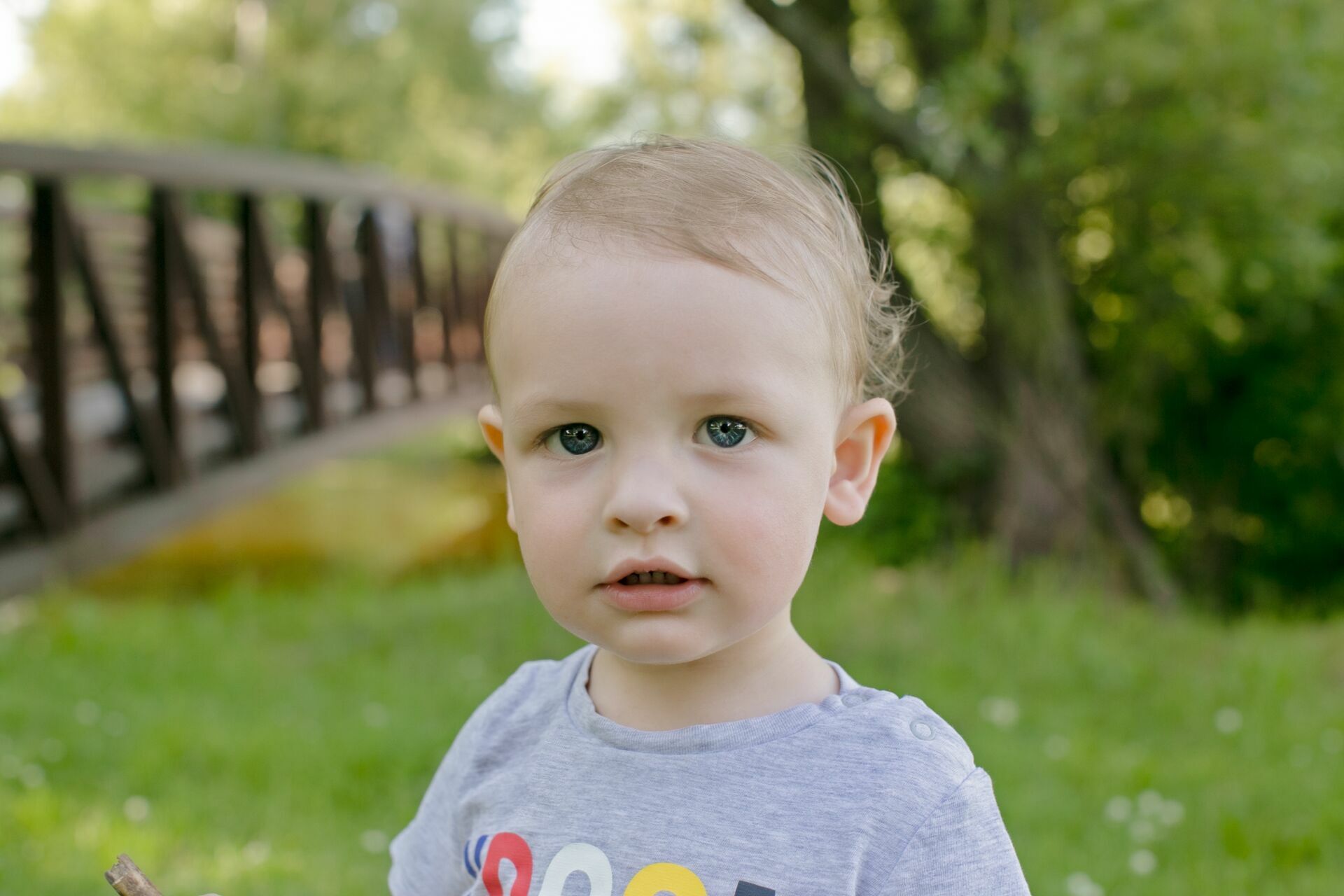 Foto Family Session - Arboretum Ottawa  - Imagem 1