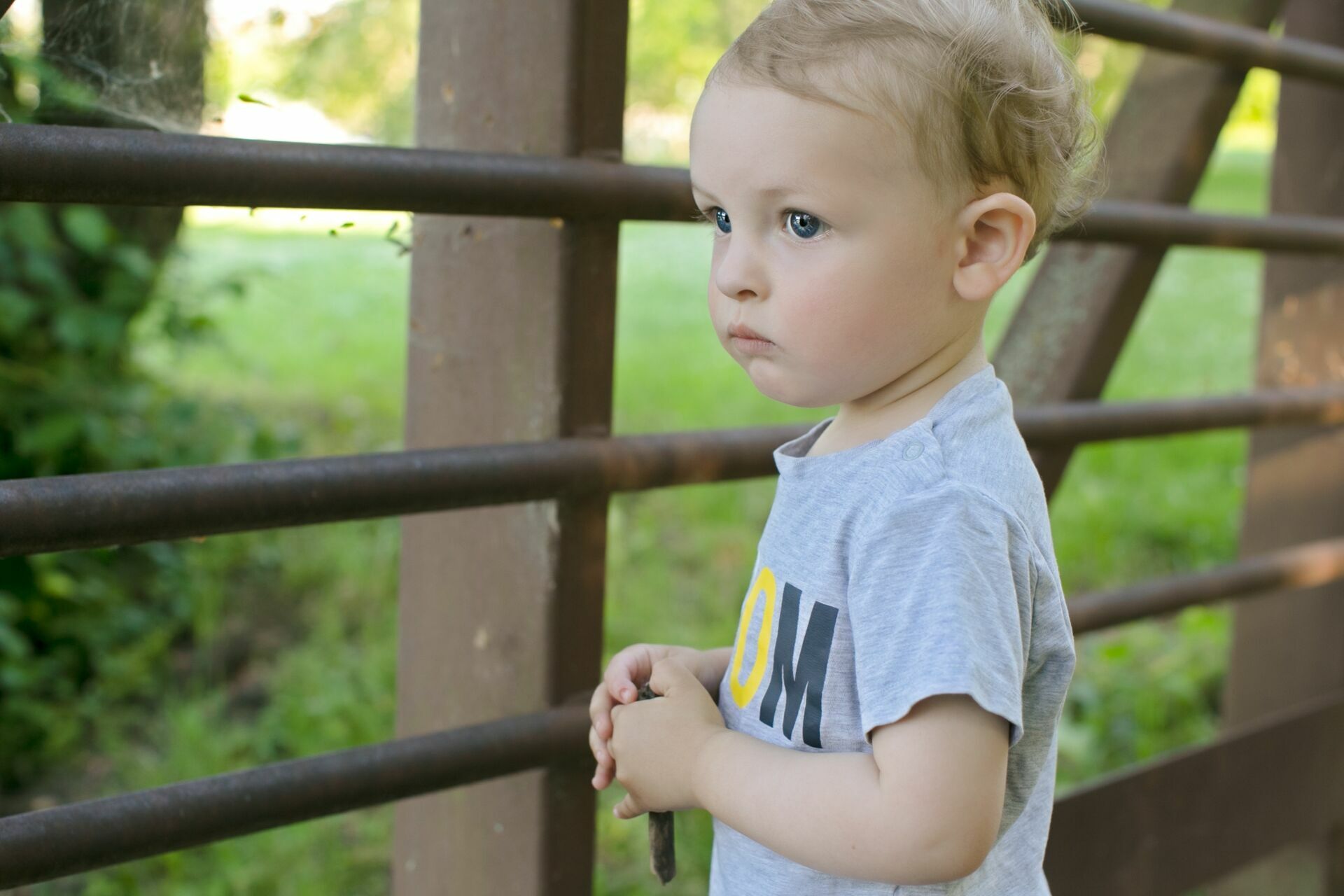 Foto Family Session - Arboretum Ottawa  - Imagem 3