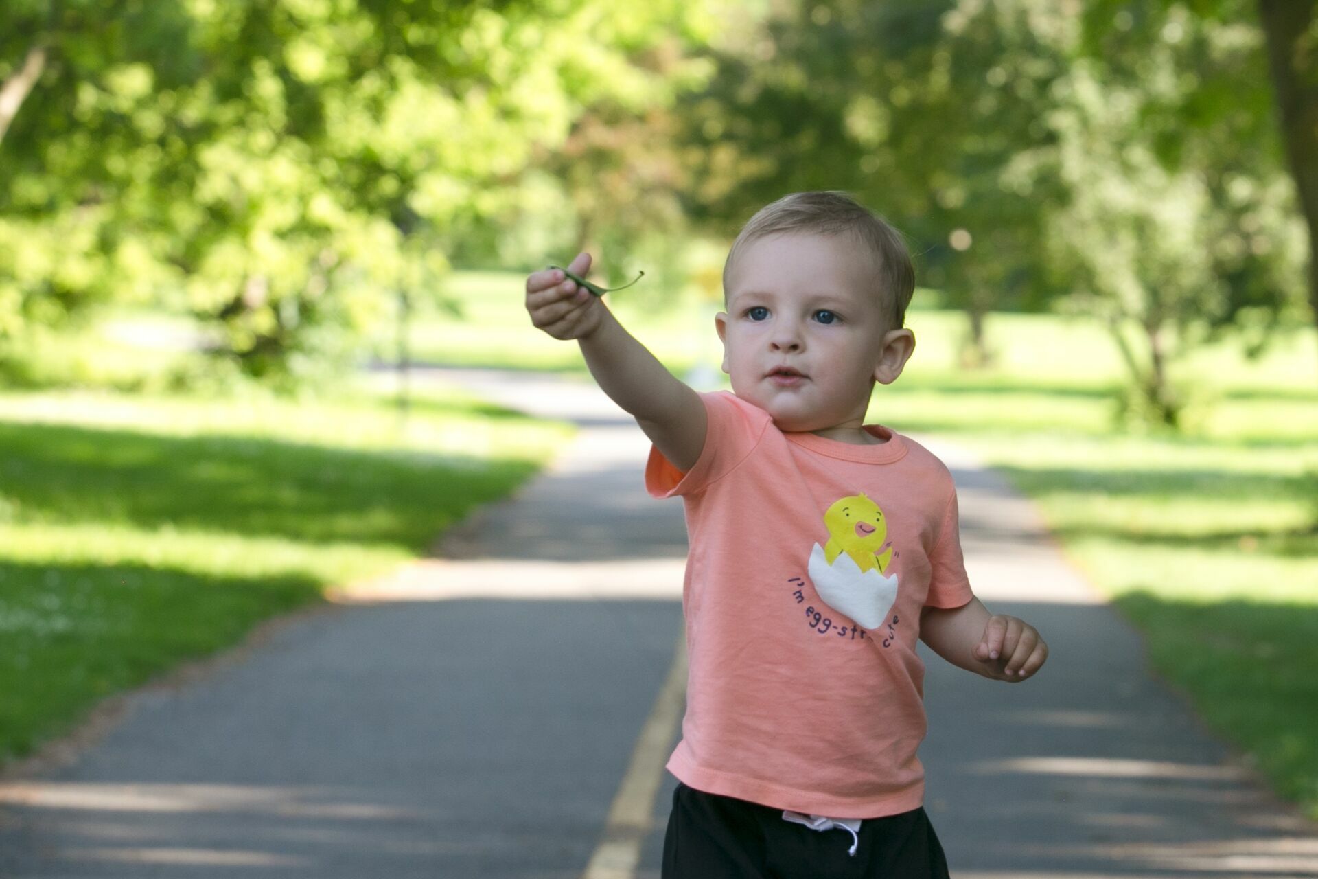 Foto Family Session - Arboretum Ottawa  - Imagem 5