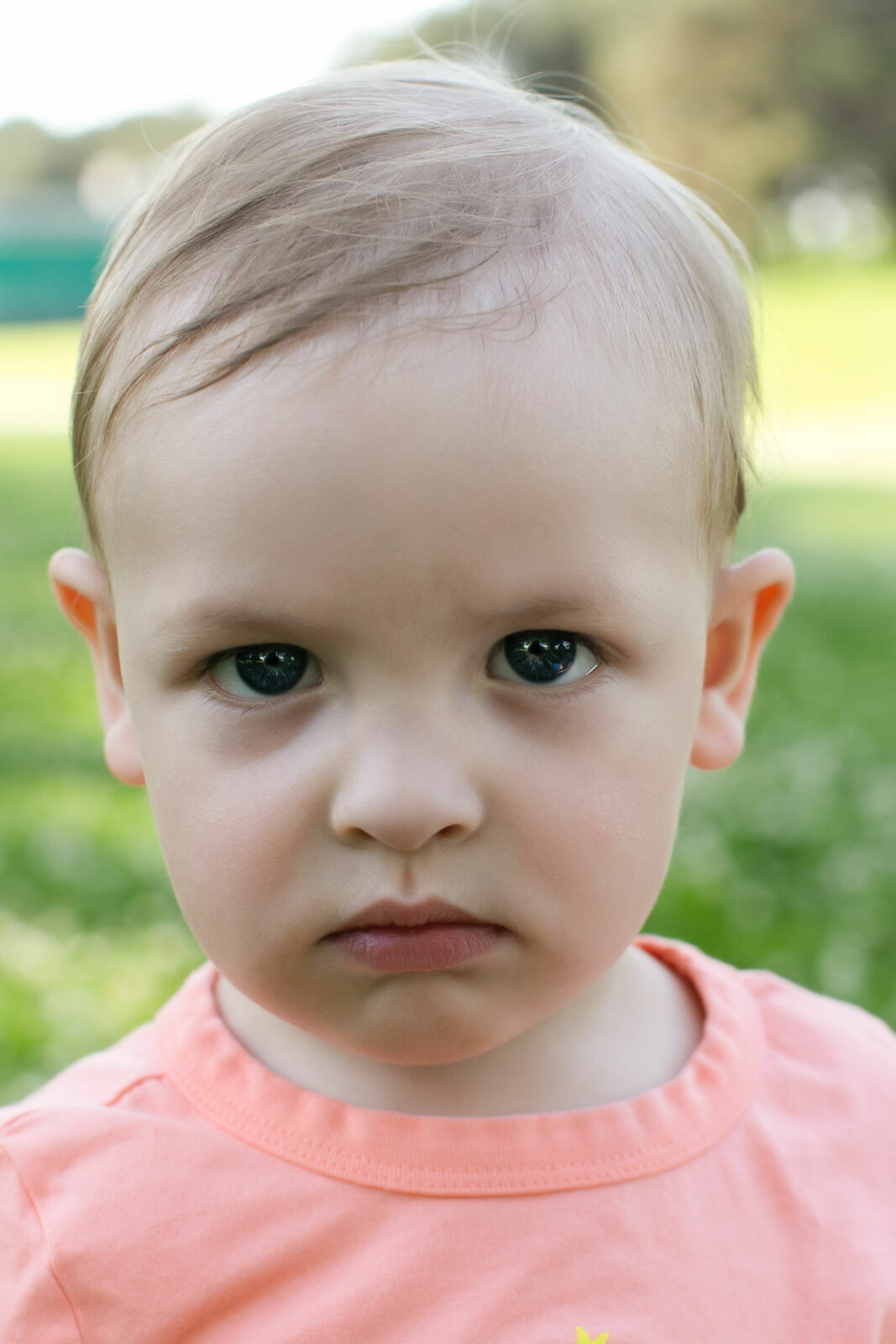 Foto Family Session - Arboretum Ottawa  - Imagem 10