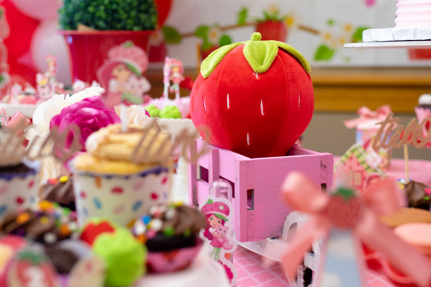 Foto Eloise  - Imagem 21