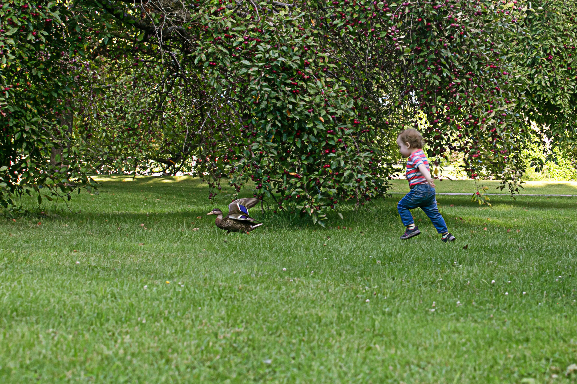 Foto Family  - Imagem 7