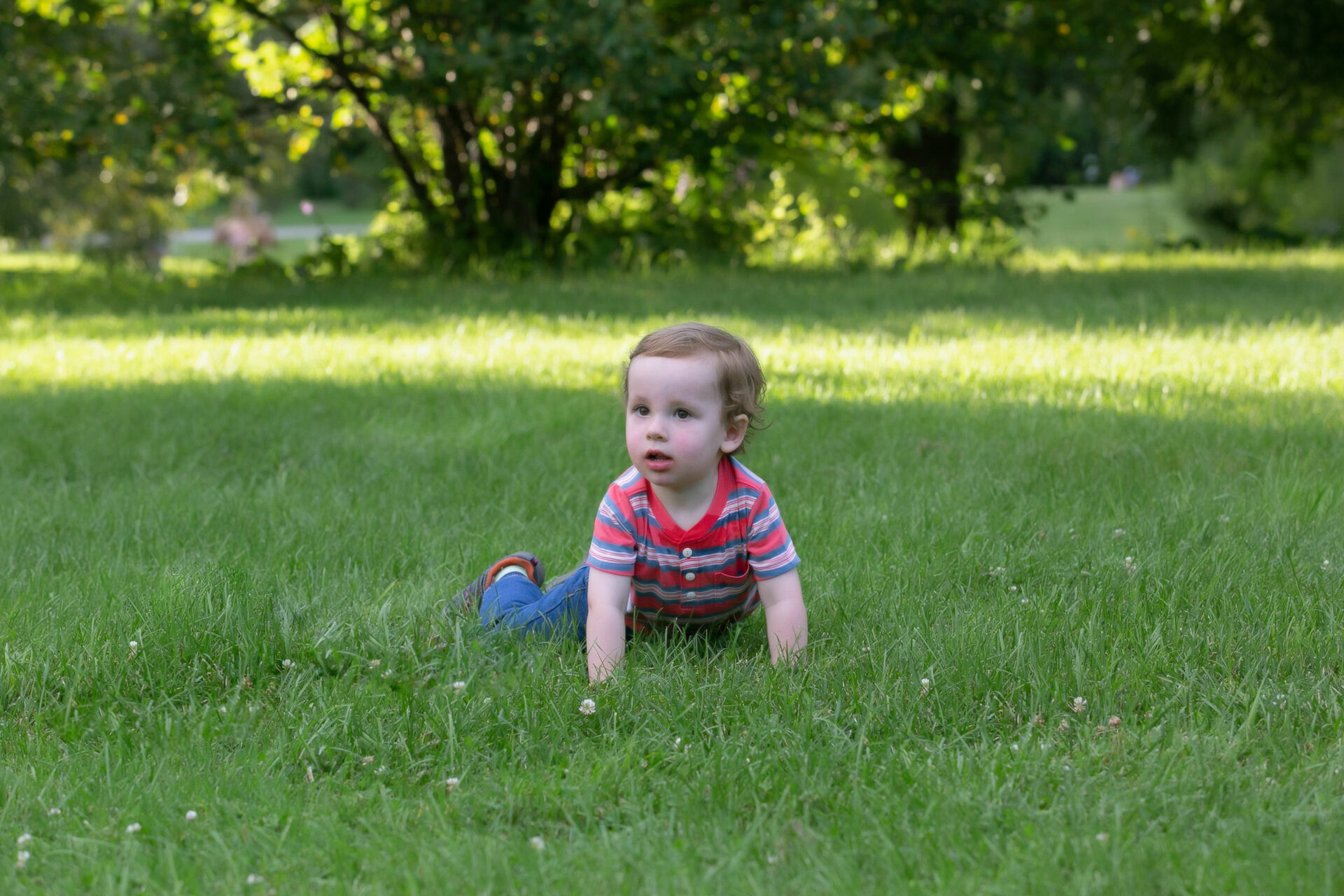 Foto Family  - Imagem 6