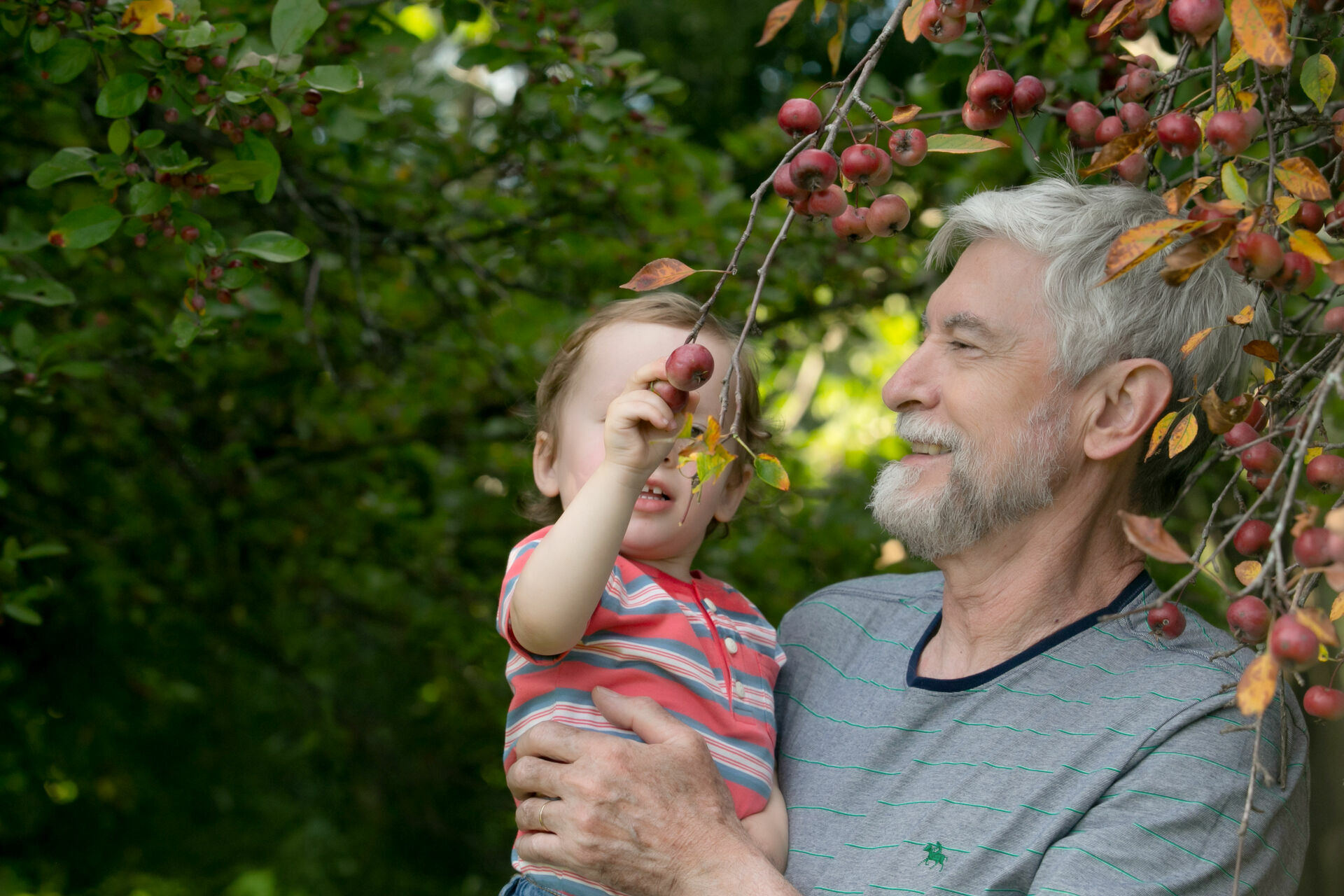 Foto Family  - Imagem 9