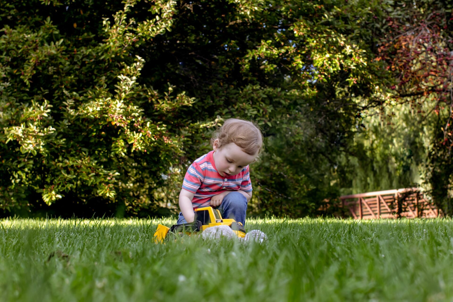 Foto Family  - Imagem 12