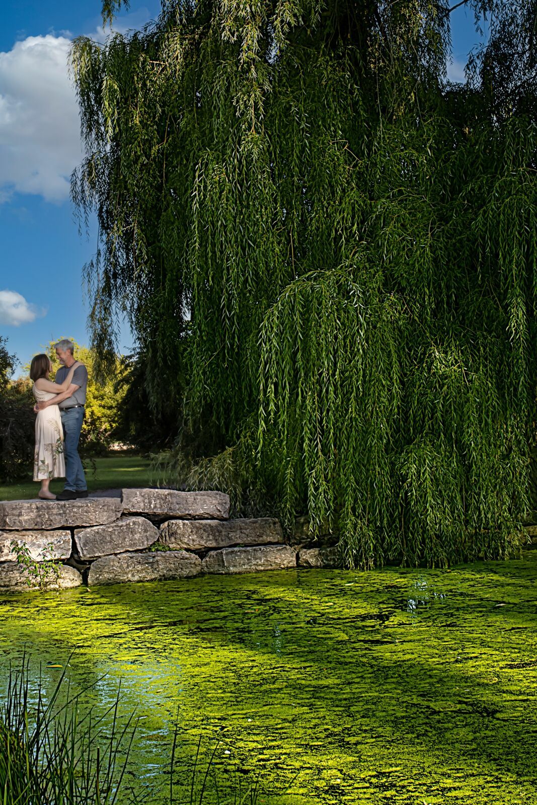 Foto Family  - Imagem 14