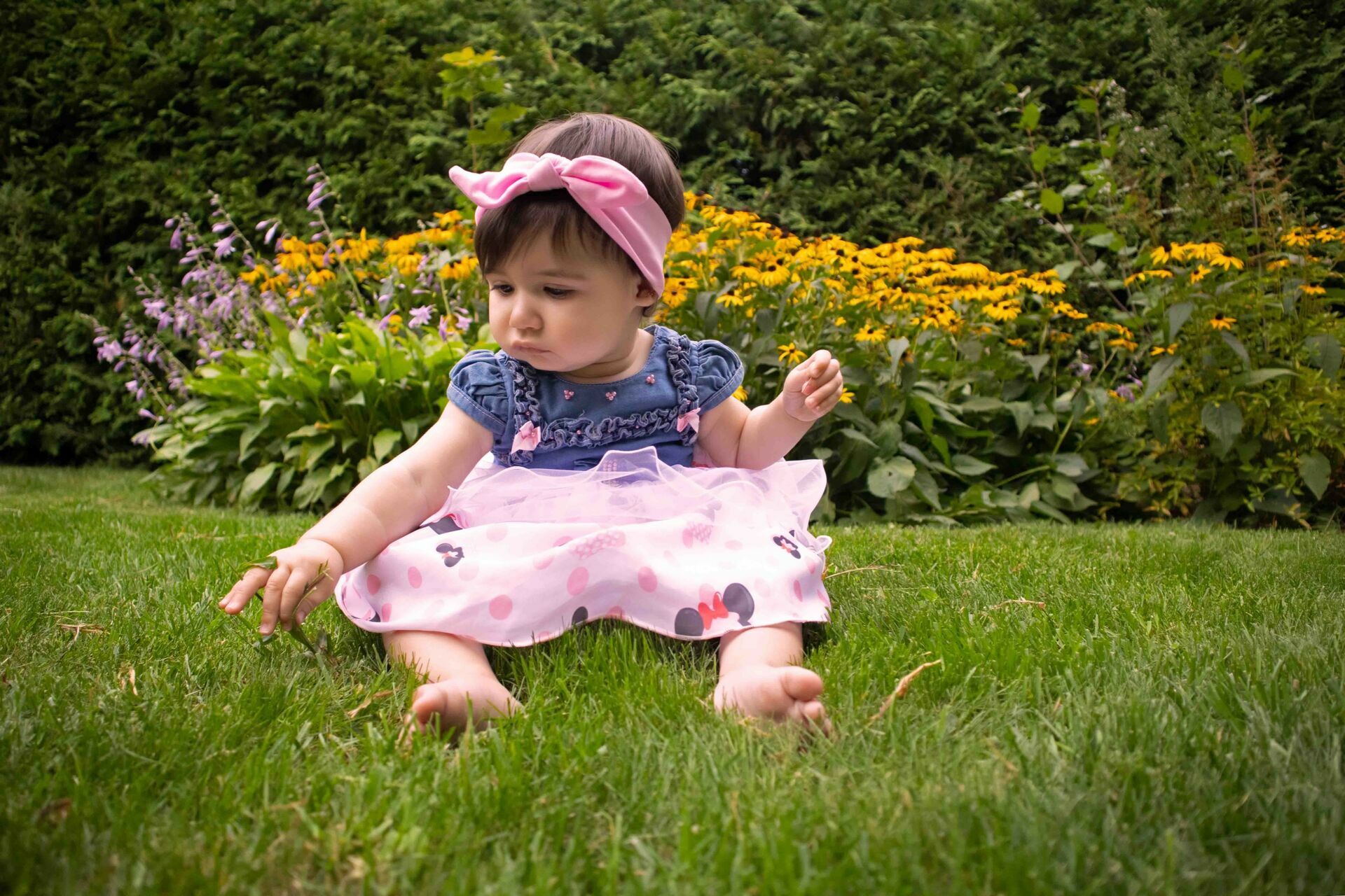 Foto Family Session - Gatineau - Imagem 1