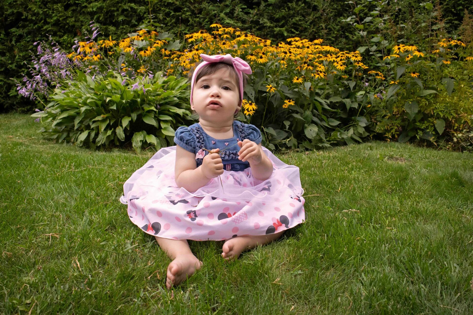 Foto Family Session - Gatineau - Imagem 0