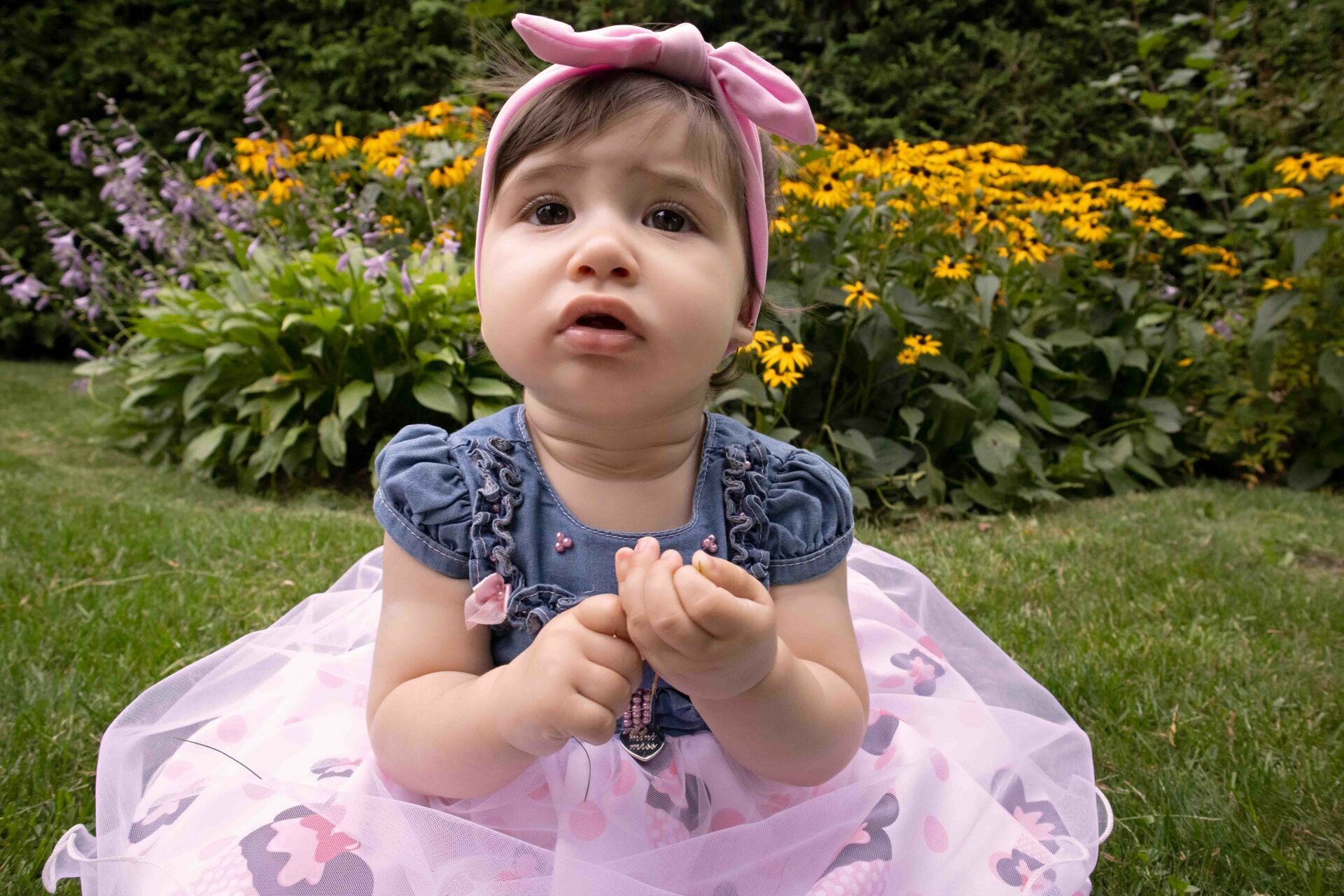 Foto Family Session - Gatineau - Imagem 2