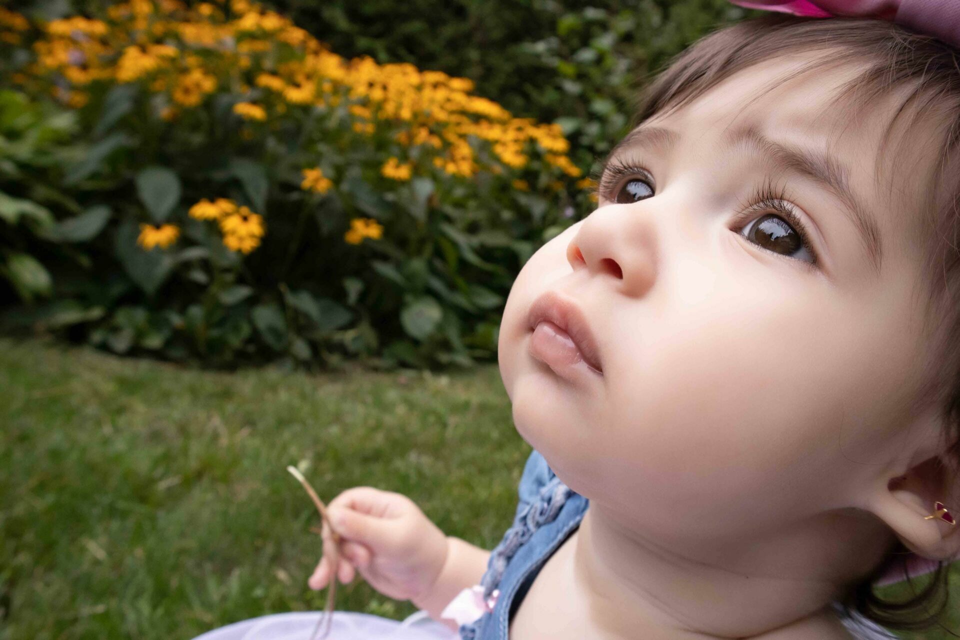 Foto Family Session - Gatineau - Imagem 15