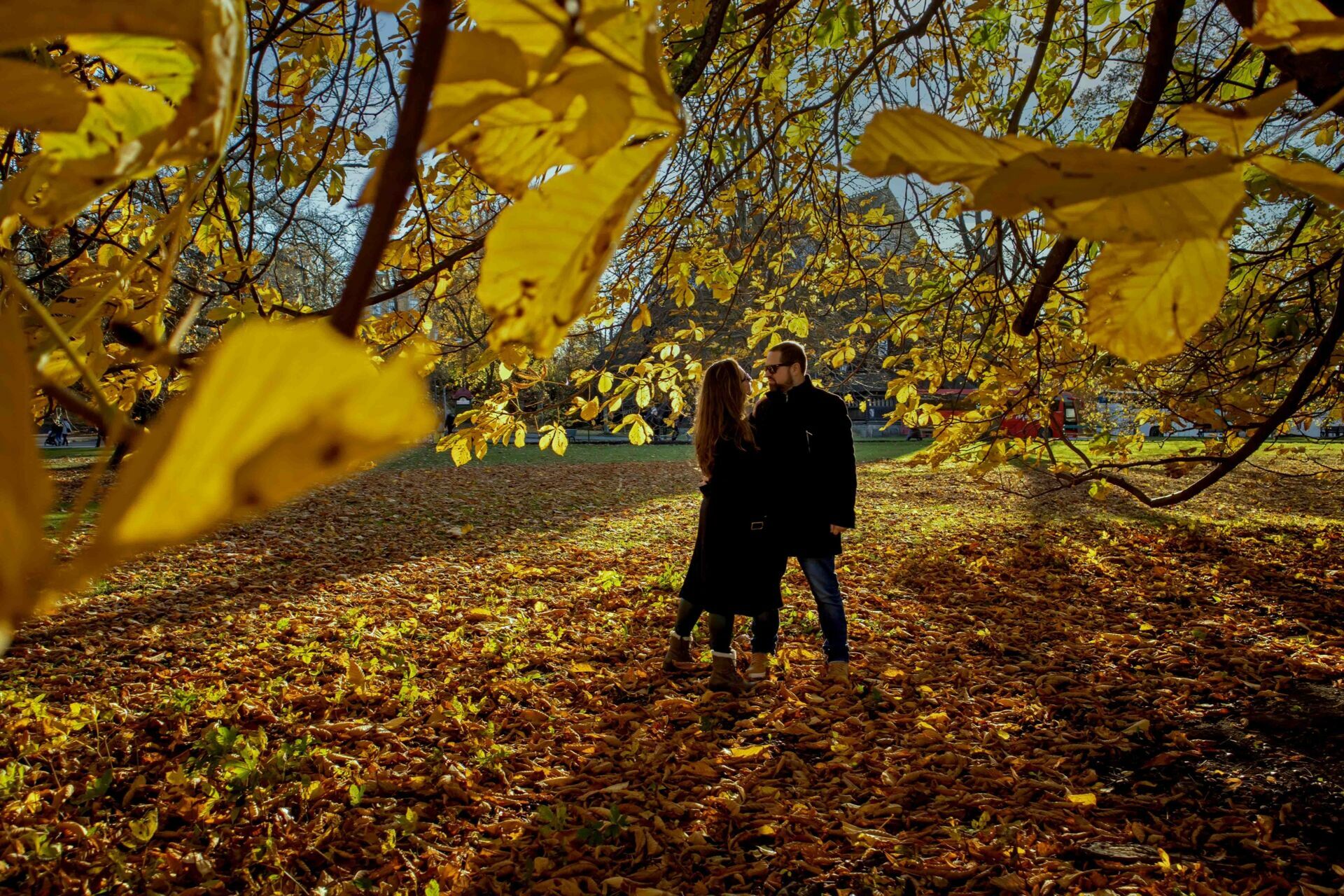 Foto Family - Stockholm / Sweden  - Imagem 3