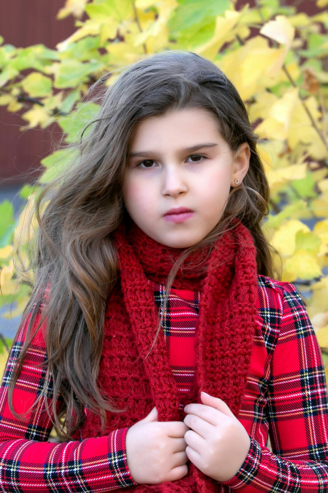 Foto Family - Stockholm / Sweden  - Imagem 4