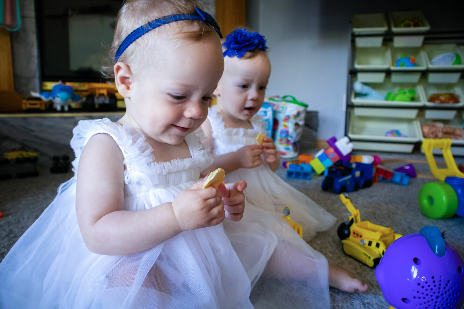 Foto Family  - Imagem 7